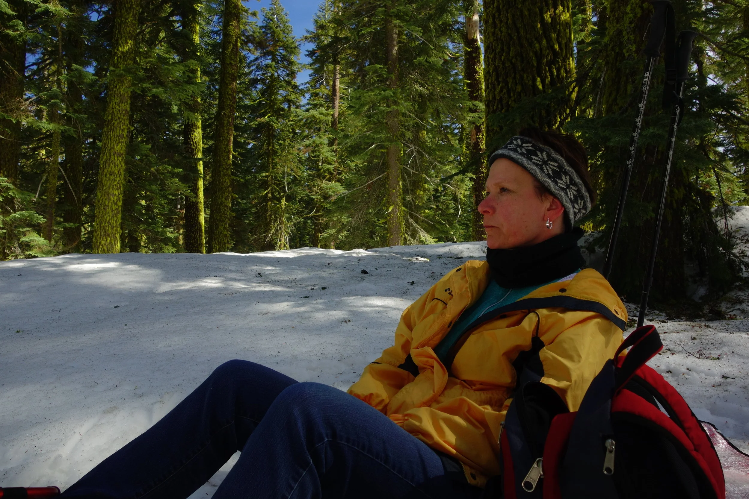 Mt. Shasta Spiritual Tours