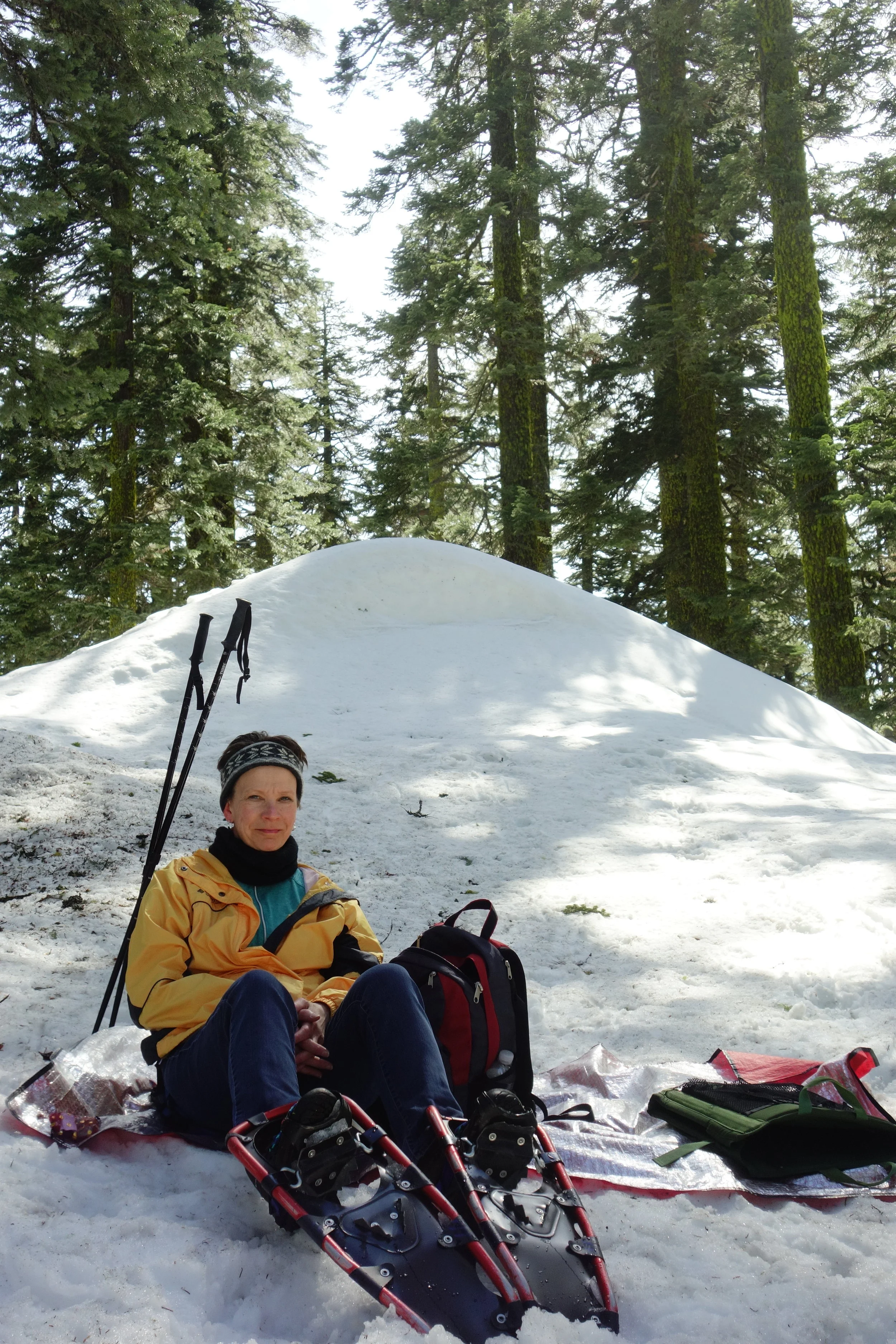 Mt. Shasta Spiritual Tours