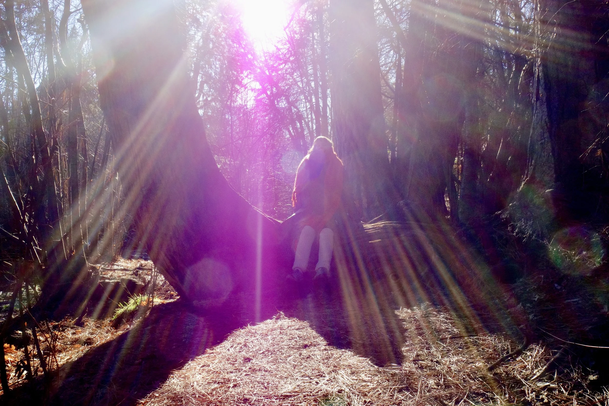 Mt. Shasta Spiritual Tours