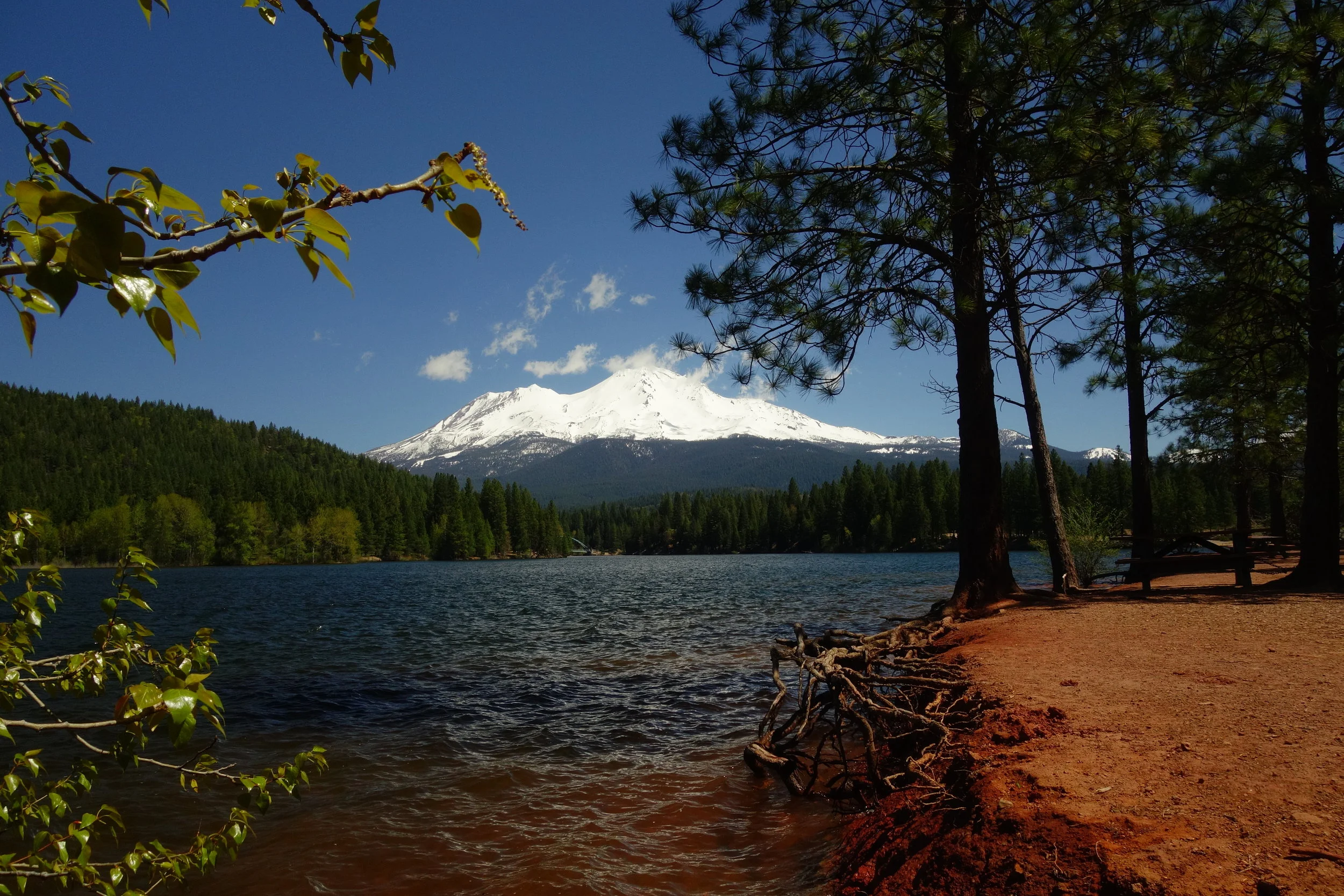 Mt. Shasta Spiritual Tours
