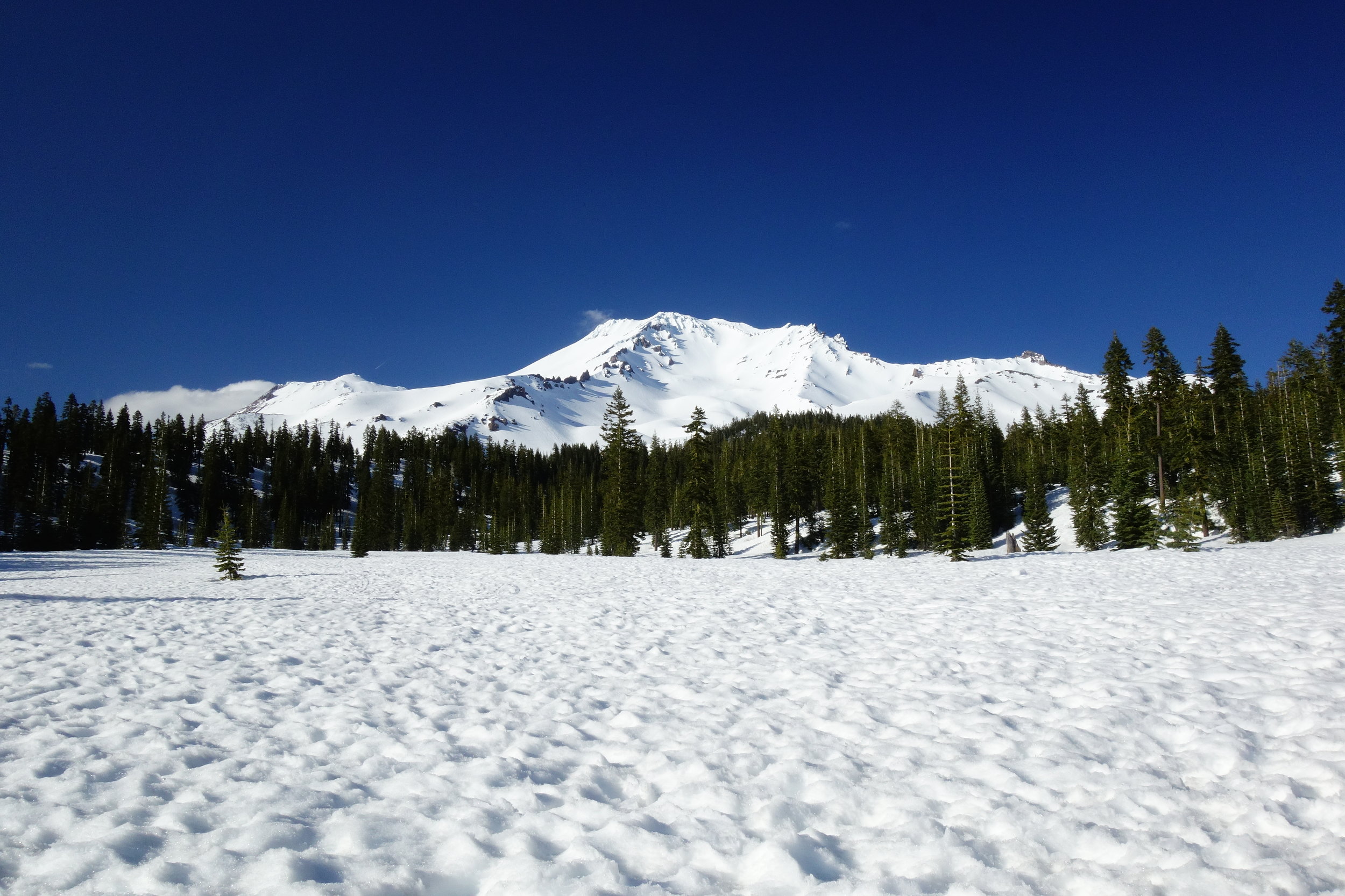 Mt. Shasta Spiritual Tours