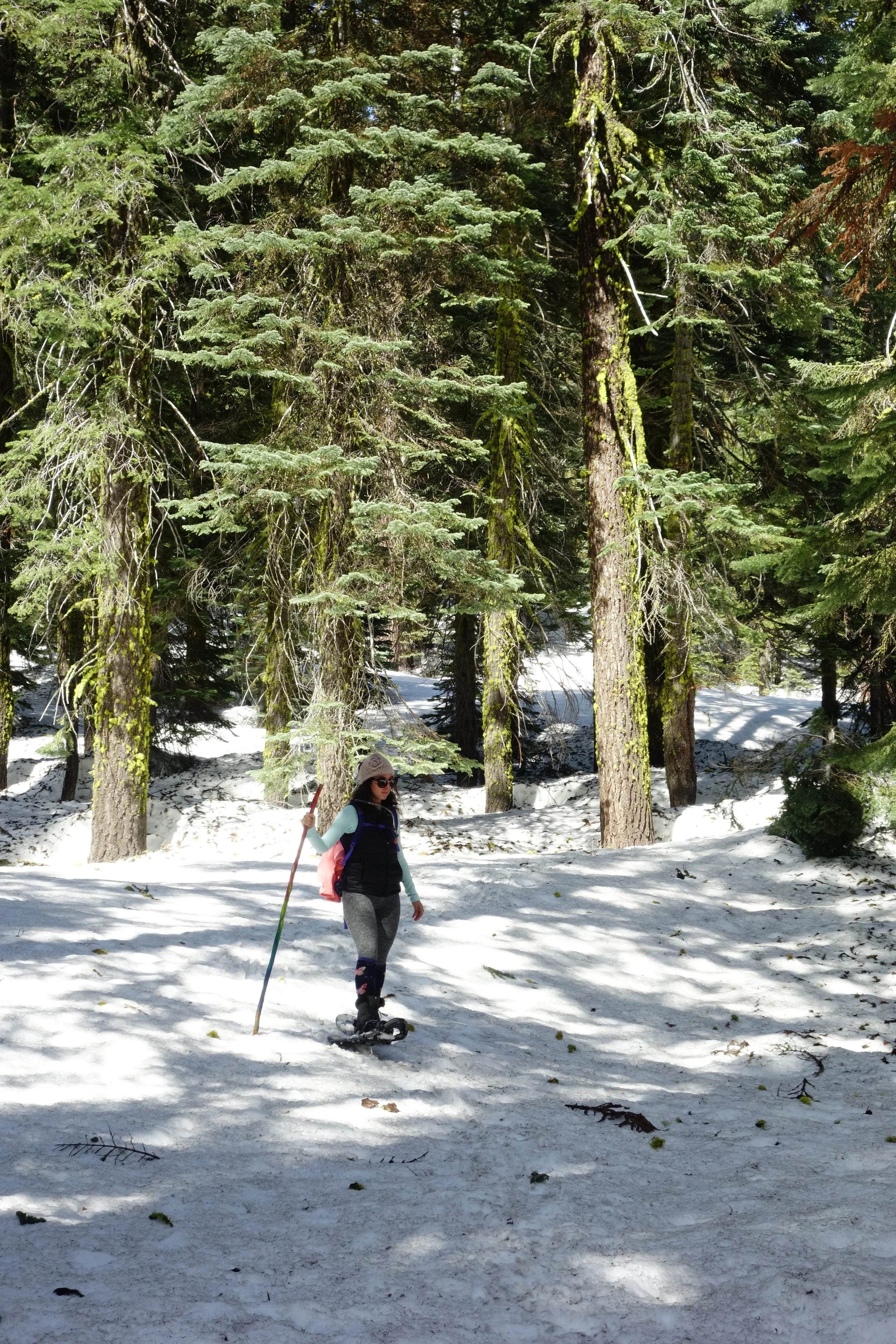 Mt. Shasta Spiritual Tours