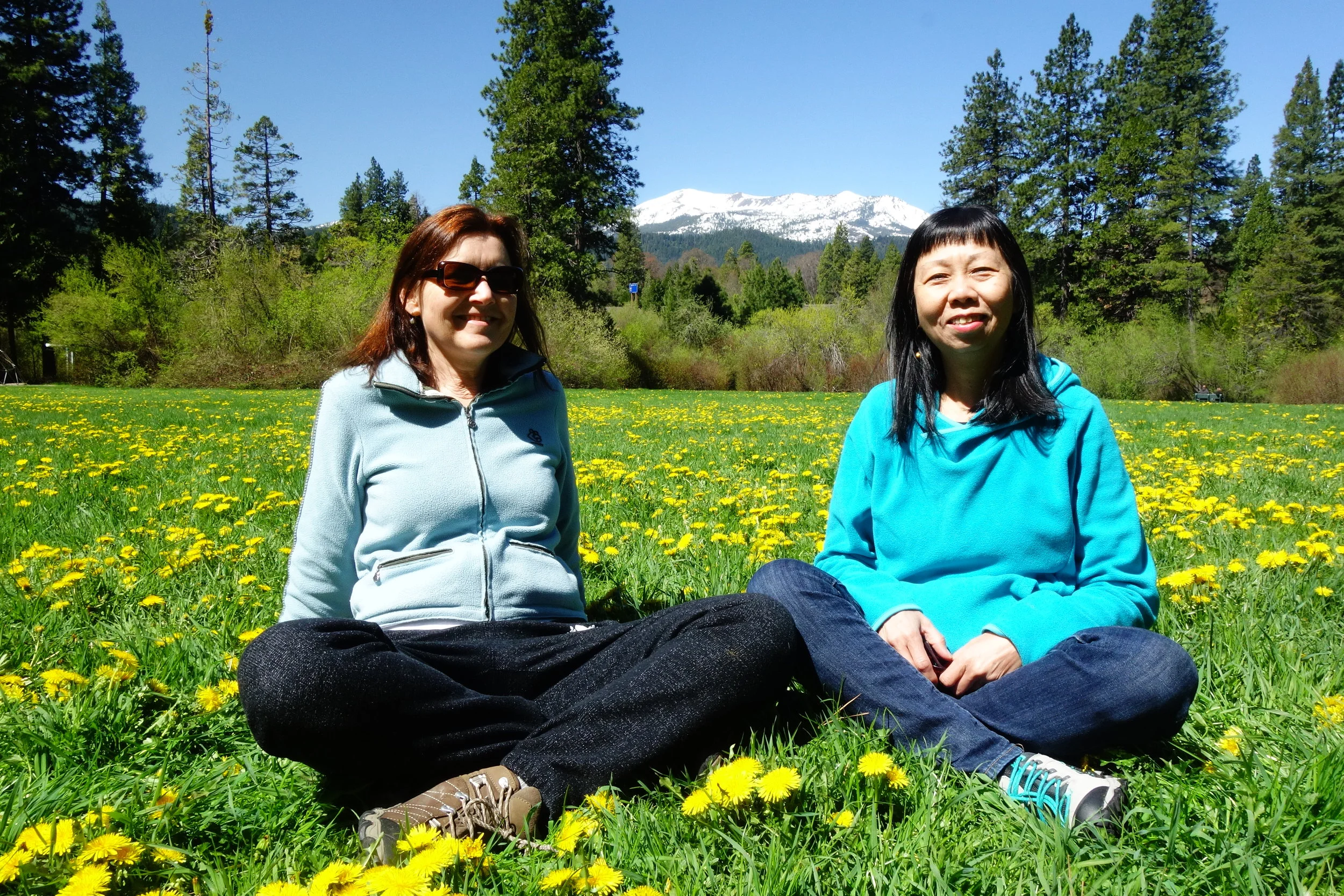 Mt. Shasta Spiritual Tours