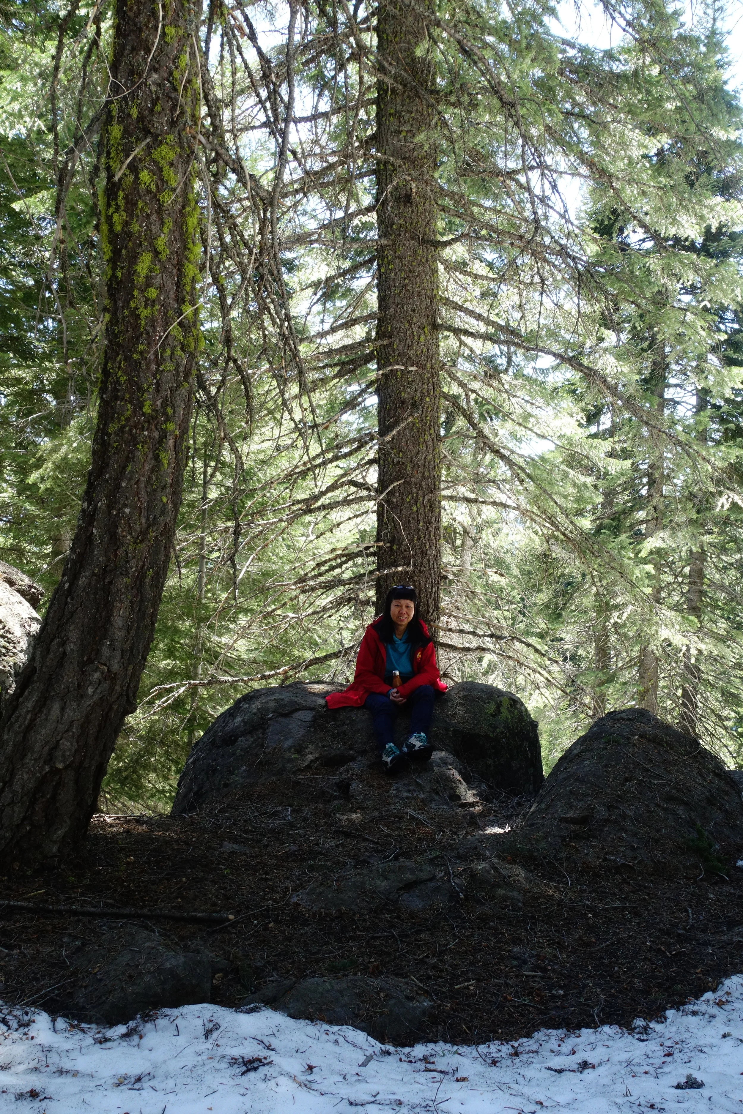 Mt. Shasta Spiritual Tours