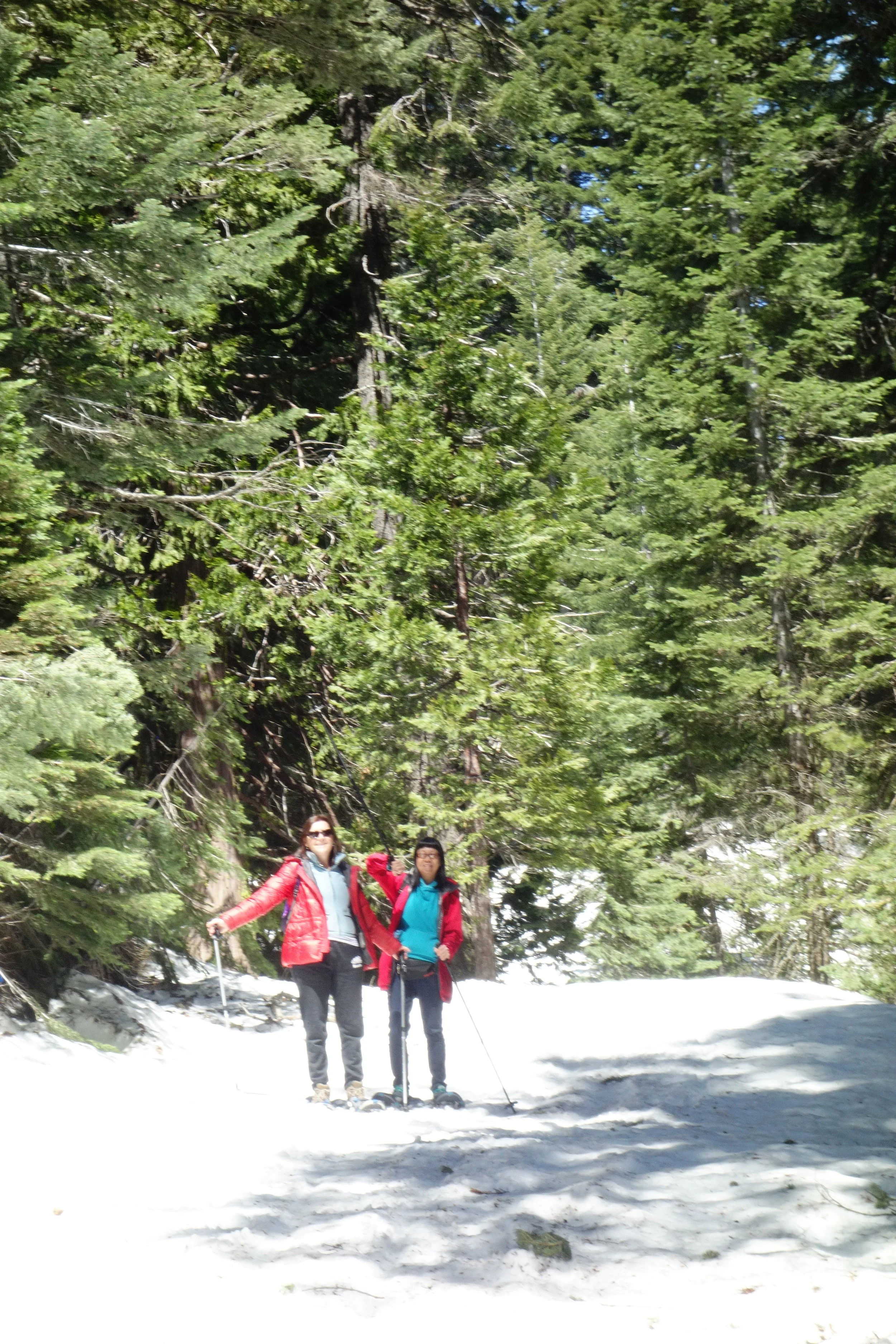 Mt. Shasta Spiritual Tours