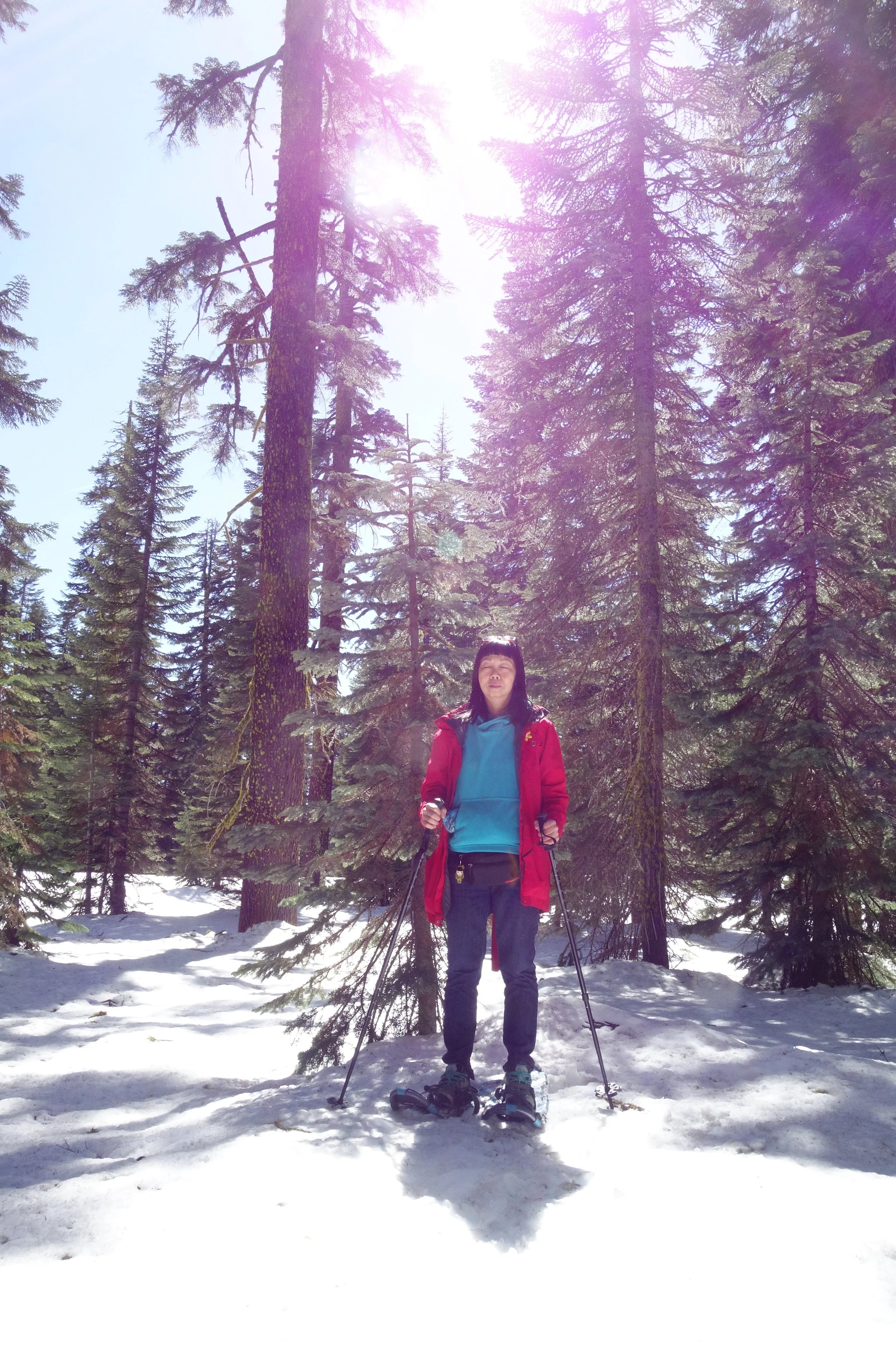 Mt. Shasta Spiritual Tours