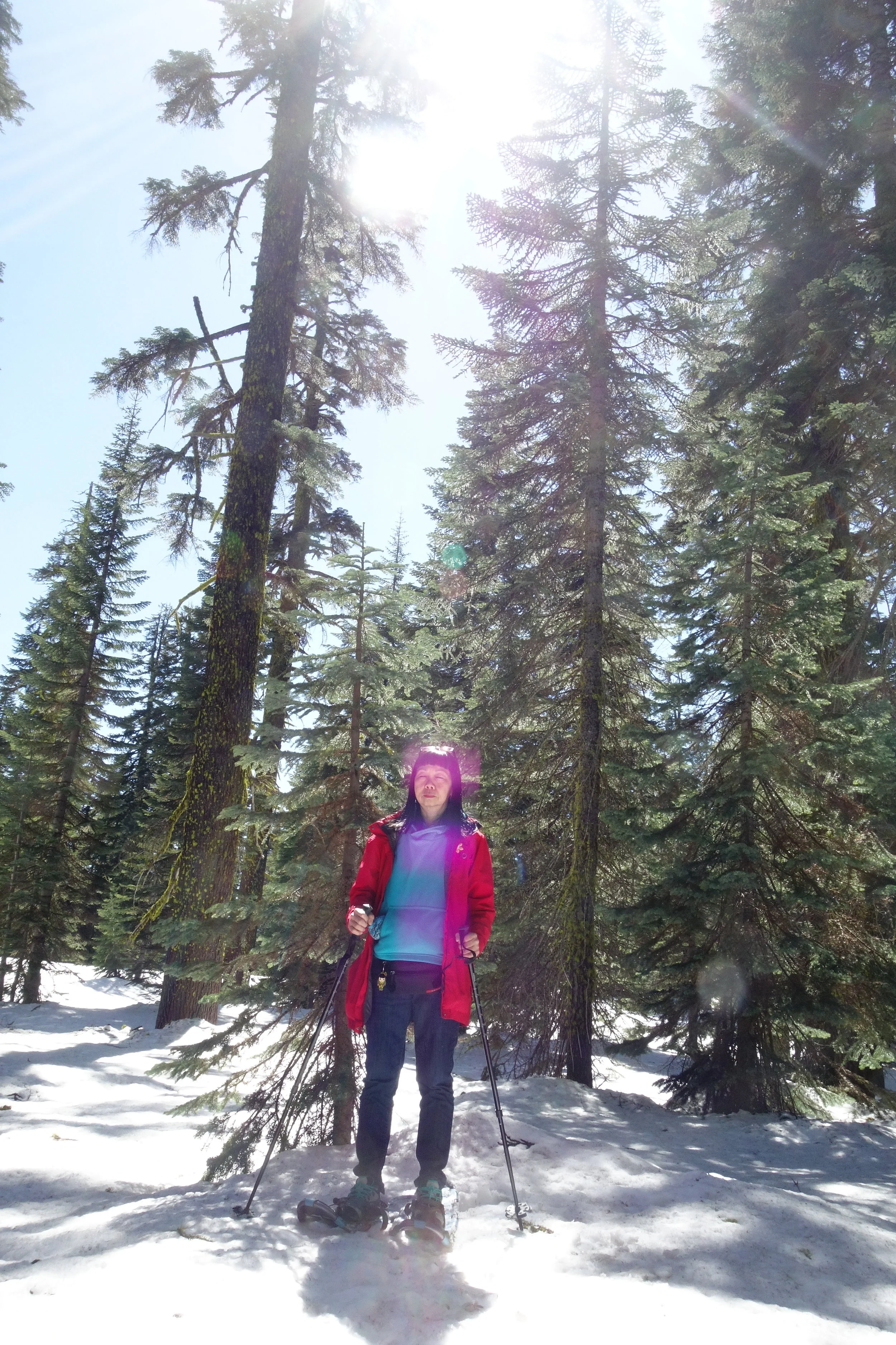 Mt. Shasta Spiritual Tours