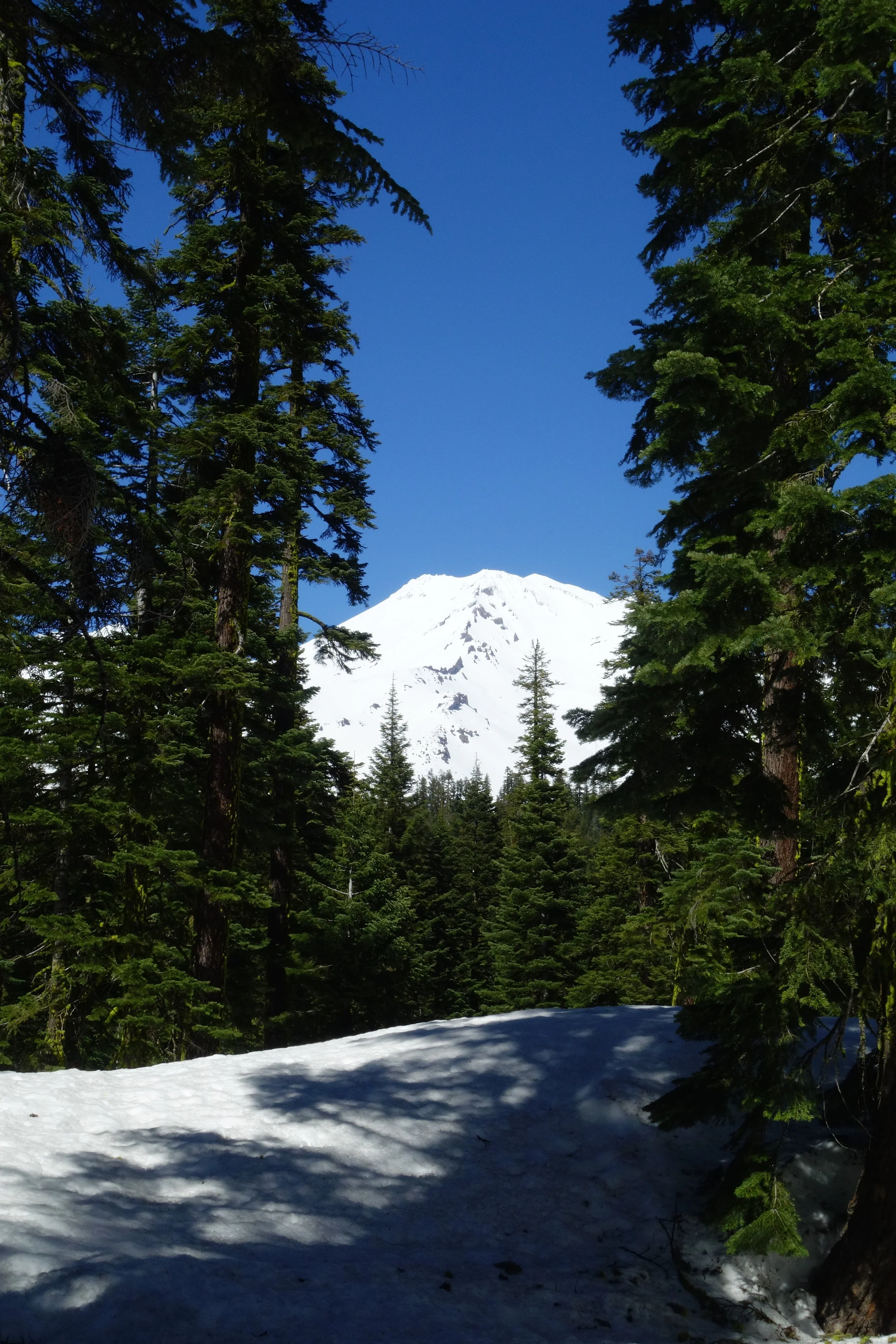 Mt. Shasta Spiritual Tours