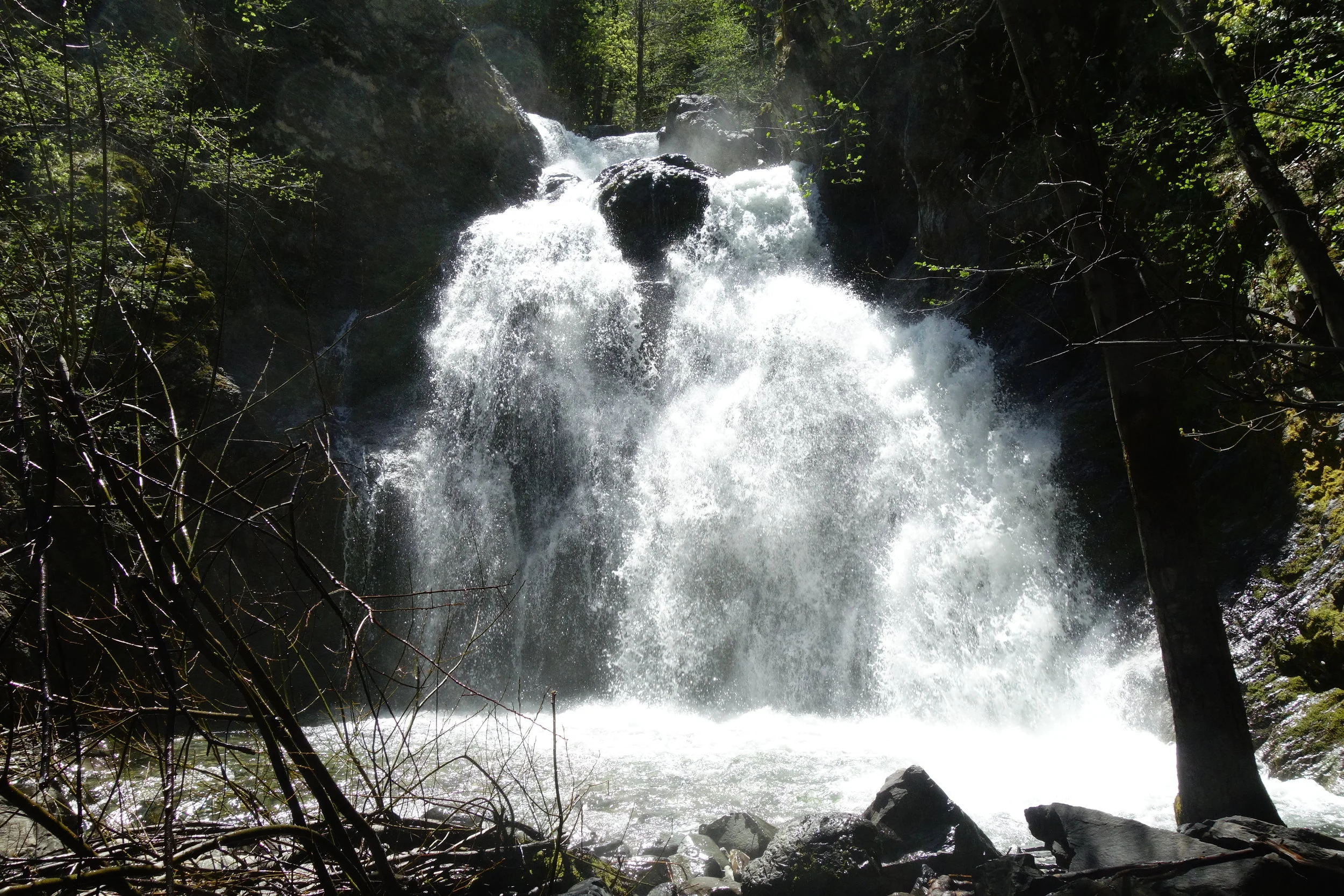 Mt. Shasta Spiritual Tours