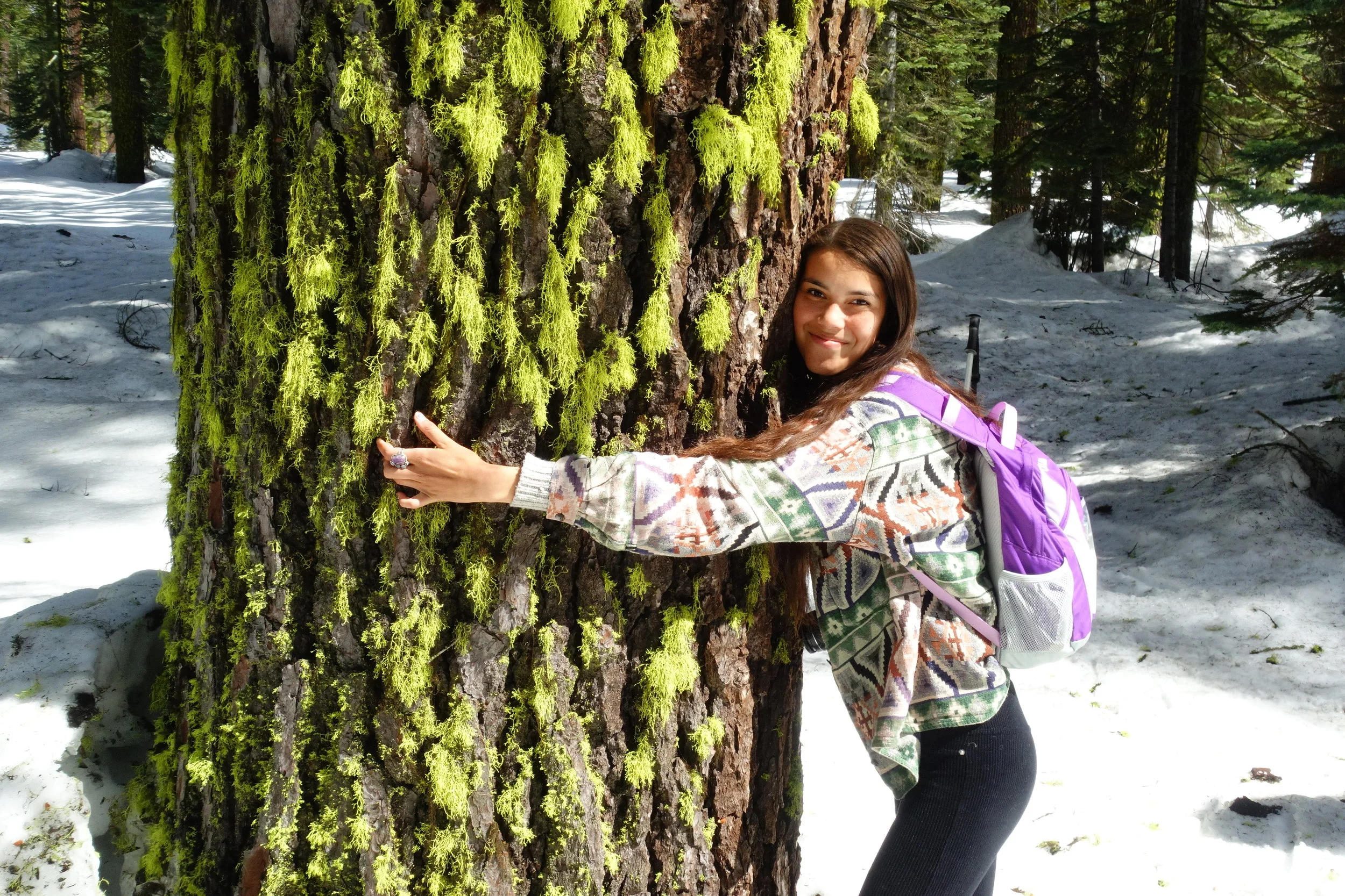 Mt. Shasta Spiritual Tours