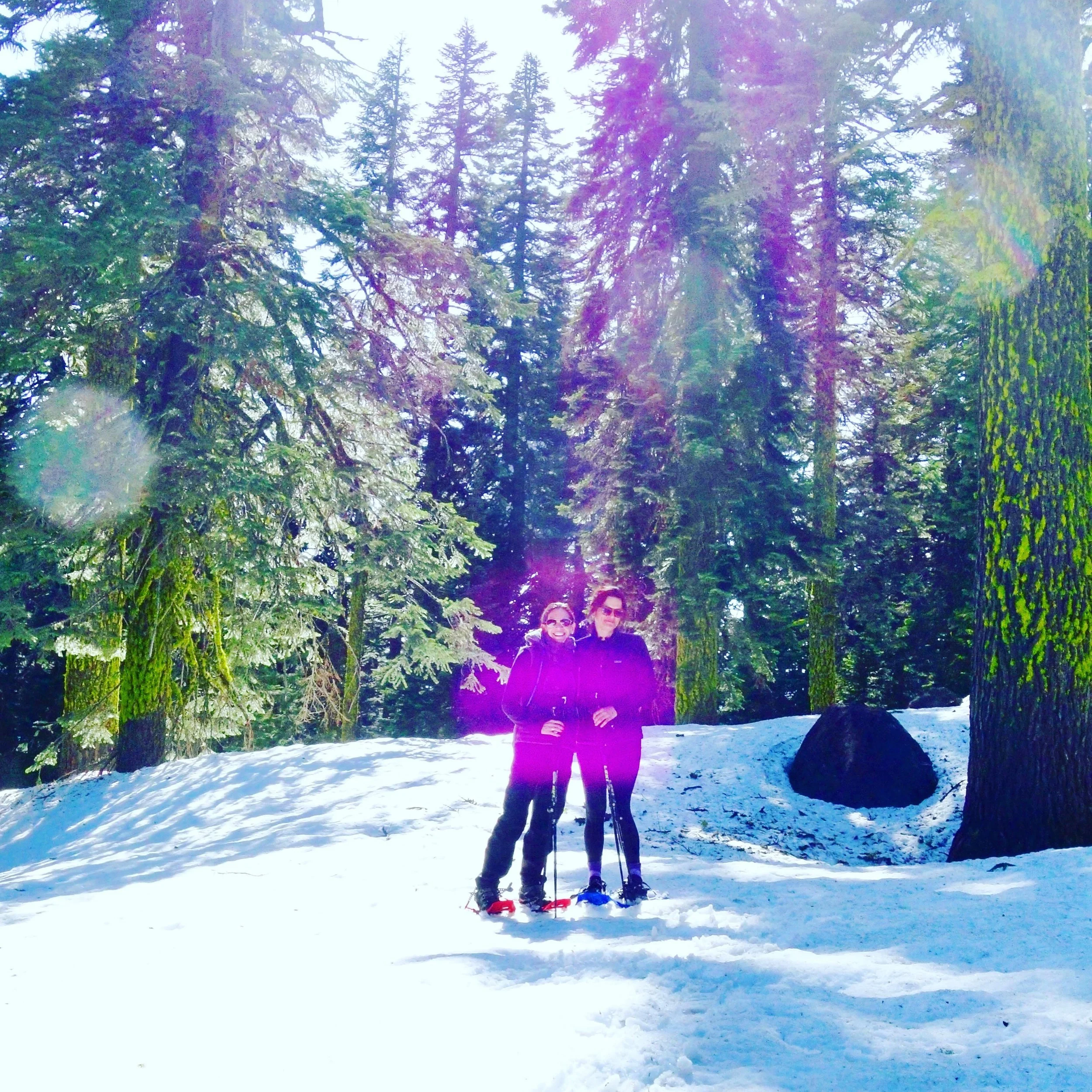 Mt. Shasta Spiritual Tours