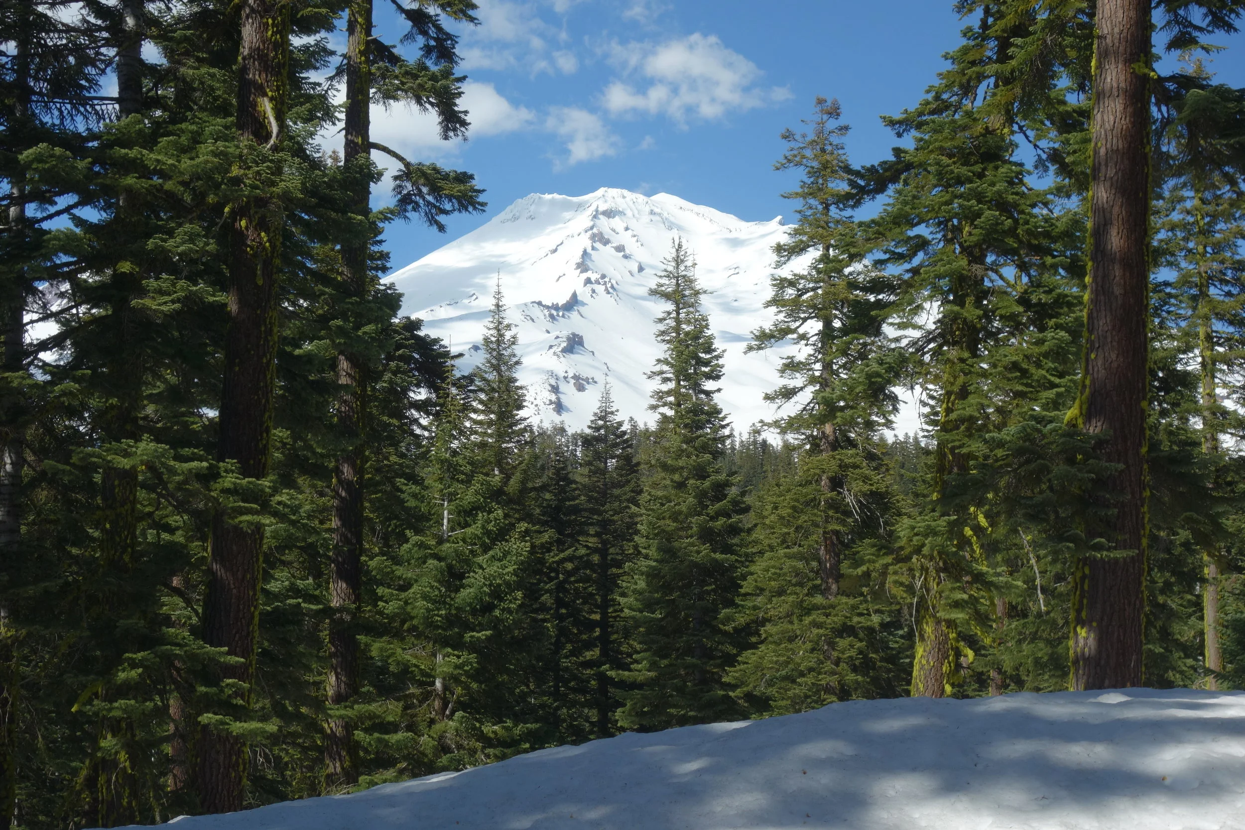 Mt. Shasta Spiritual Tours