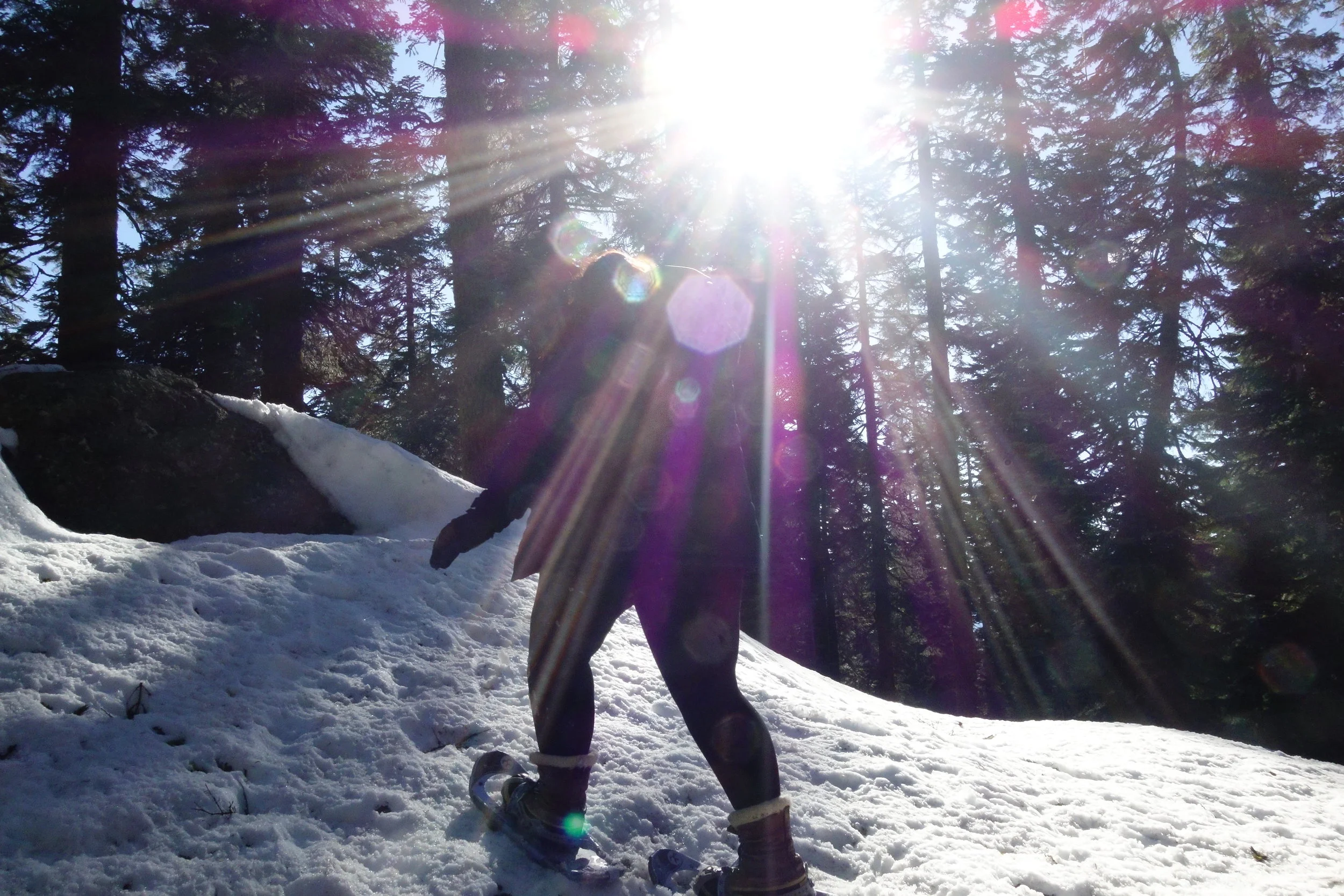 Mt. Shasta Spiritual Tours