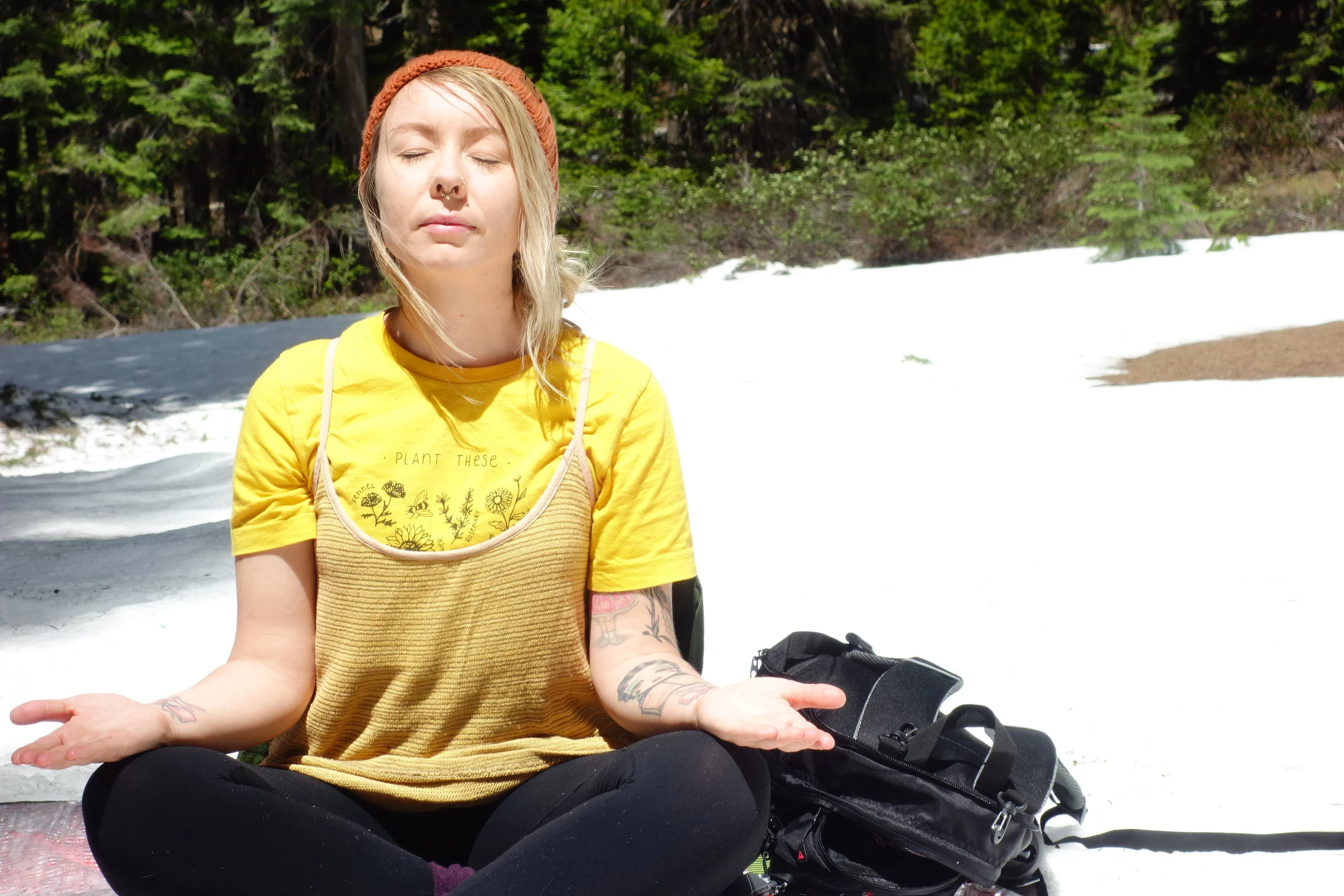 Mt Shasta Spiritual Tours