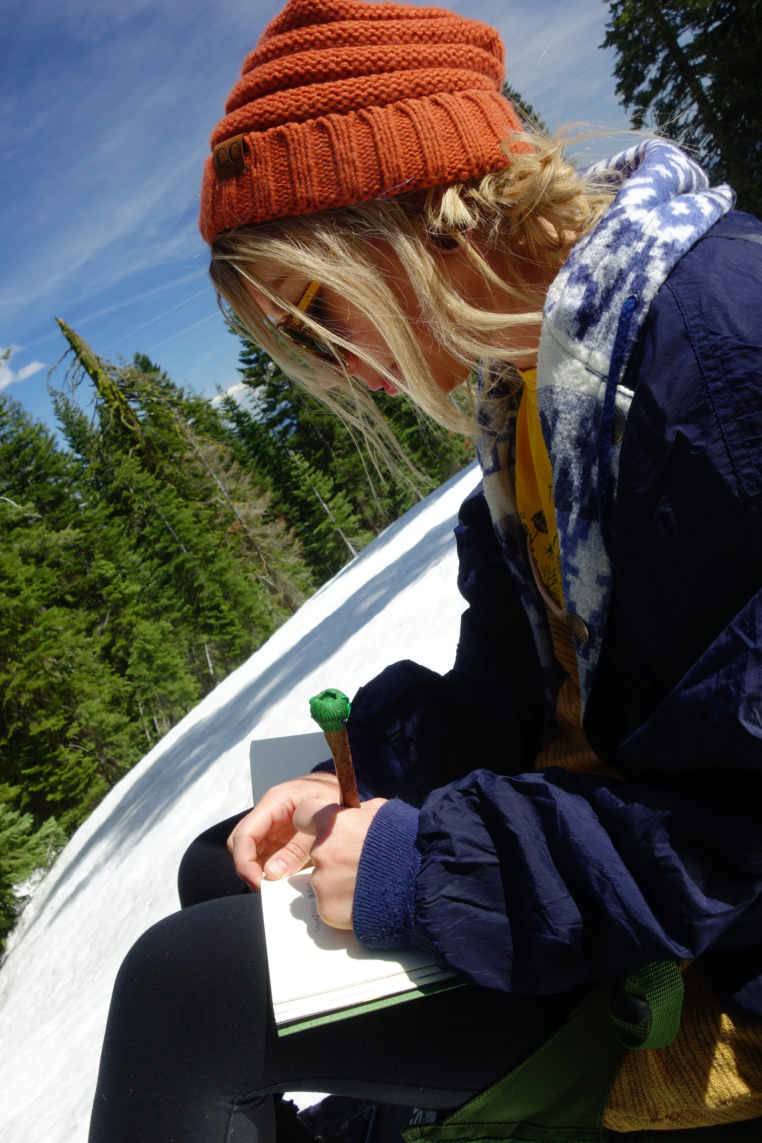 Mt Shasta Spiritual Tours