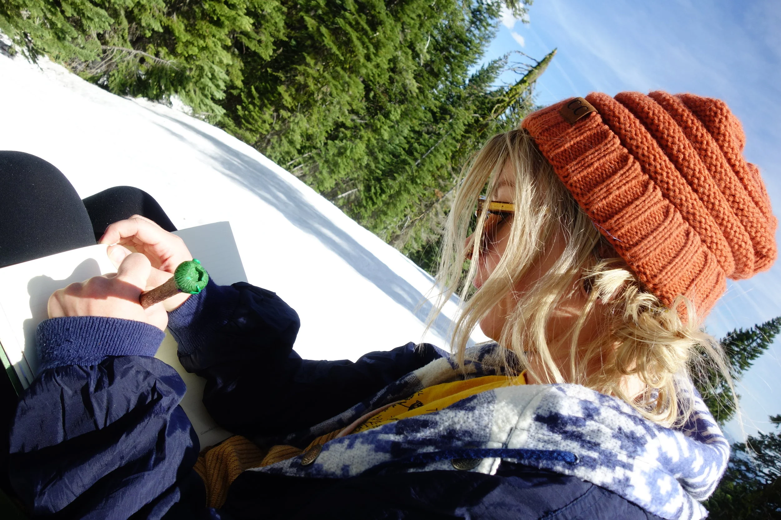 Mt Shasta Spiritual Tours