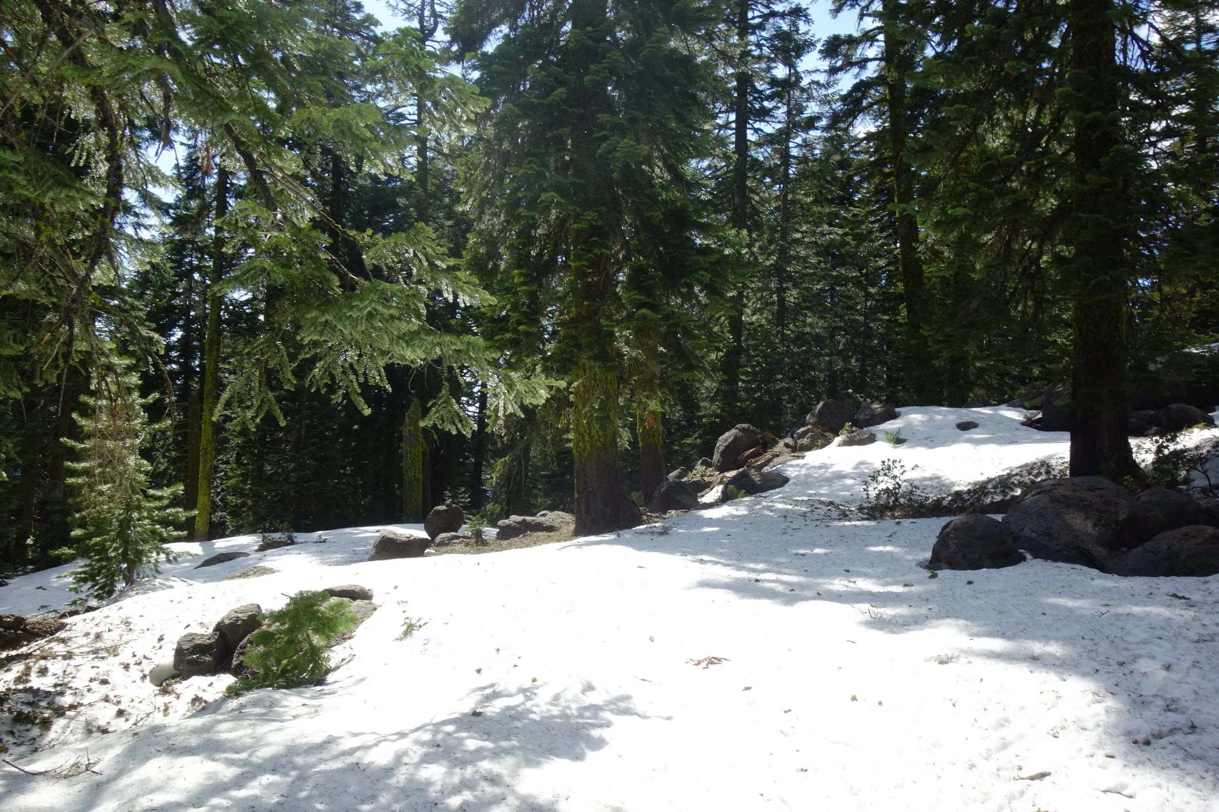 Mt Shasta Spiritual Tours