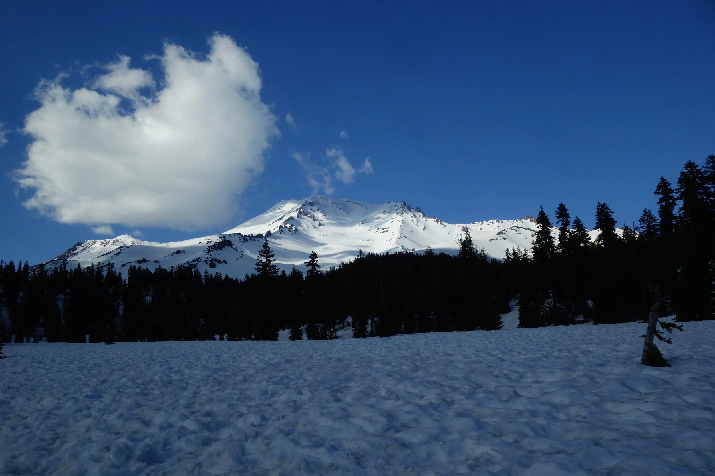 Mt Shasta Spiritual Tours