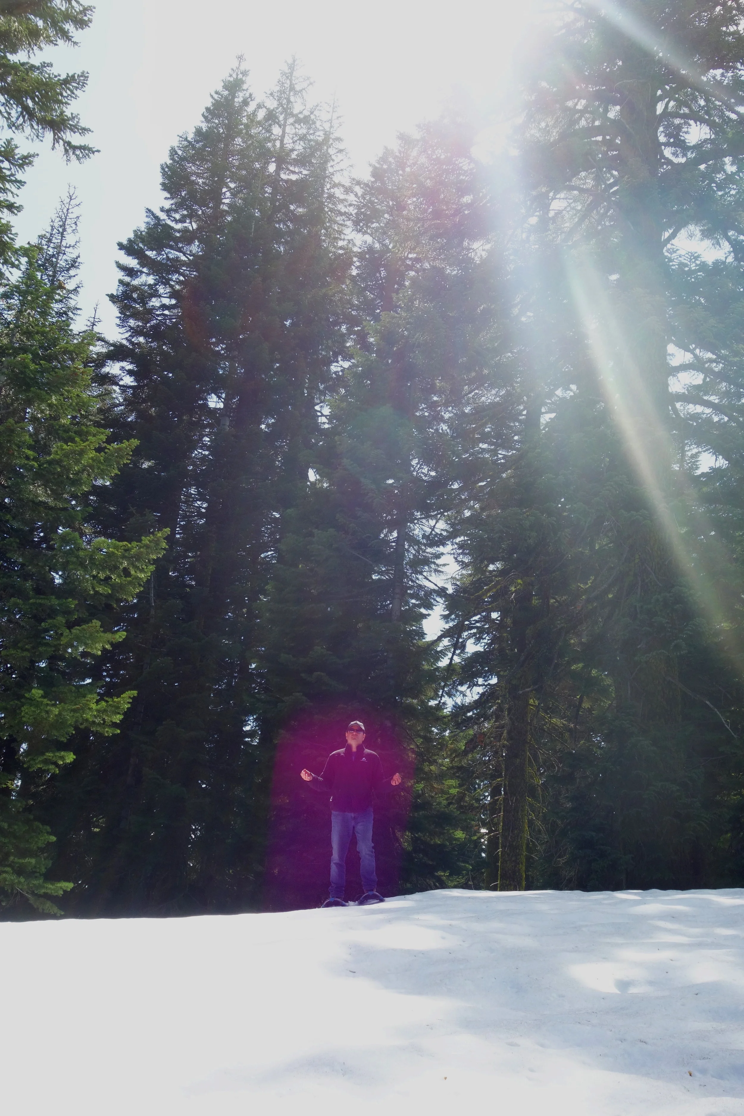 Mt Shasta Spiritual Tours