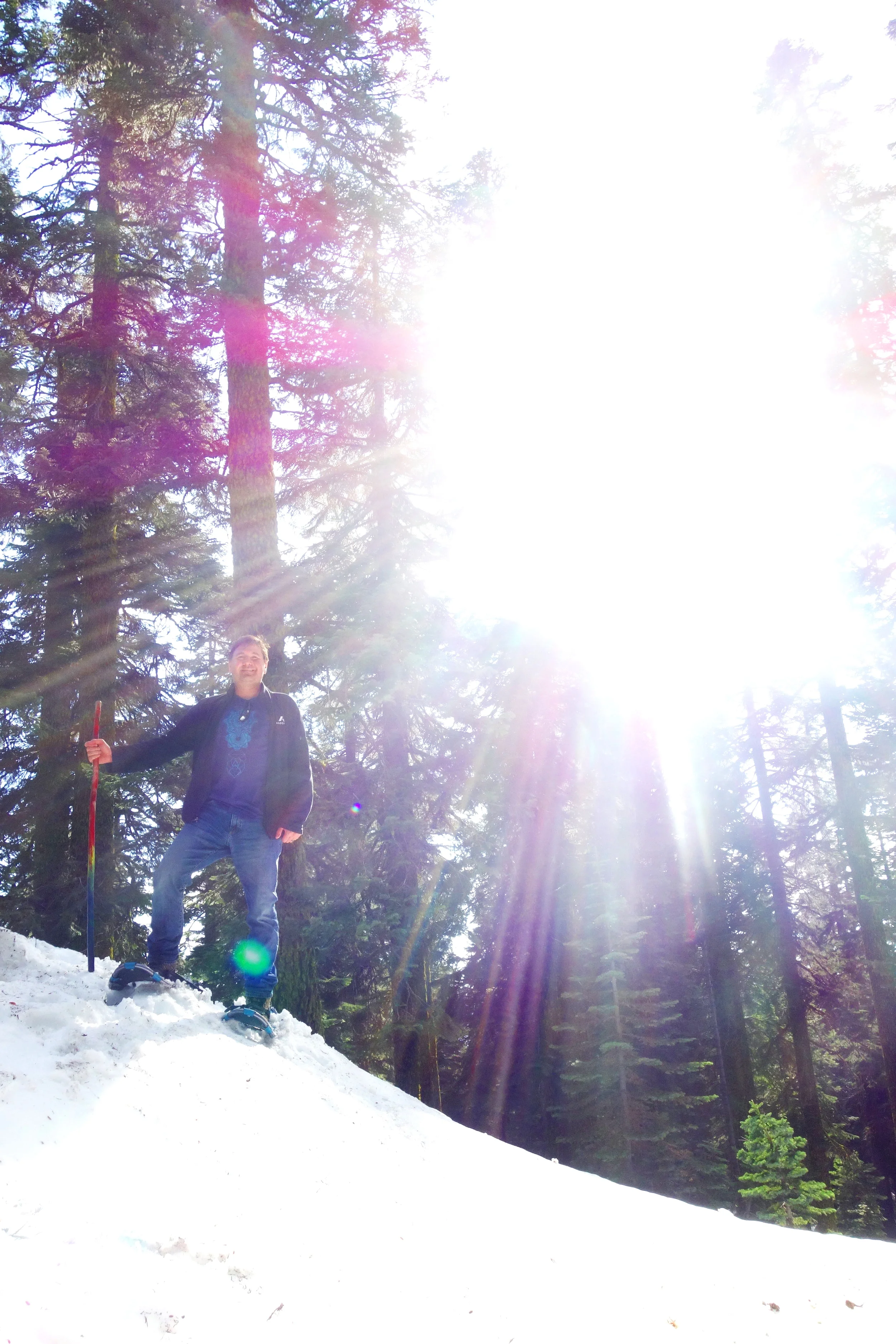 Mt Shasta Spiritual Tours