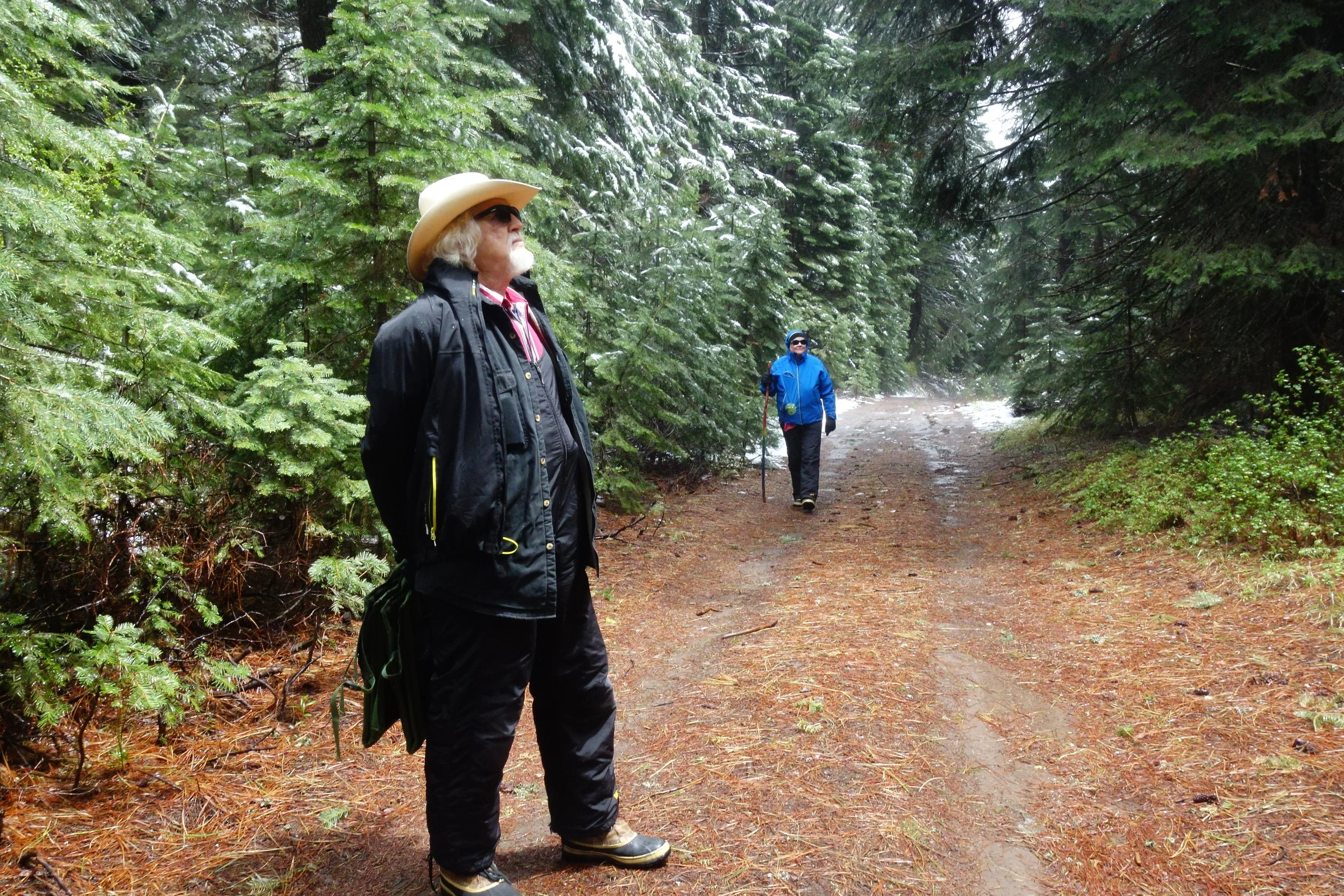 Mt Shasta Spiritual Tours
