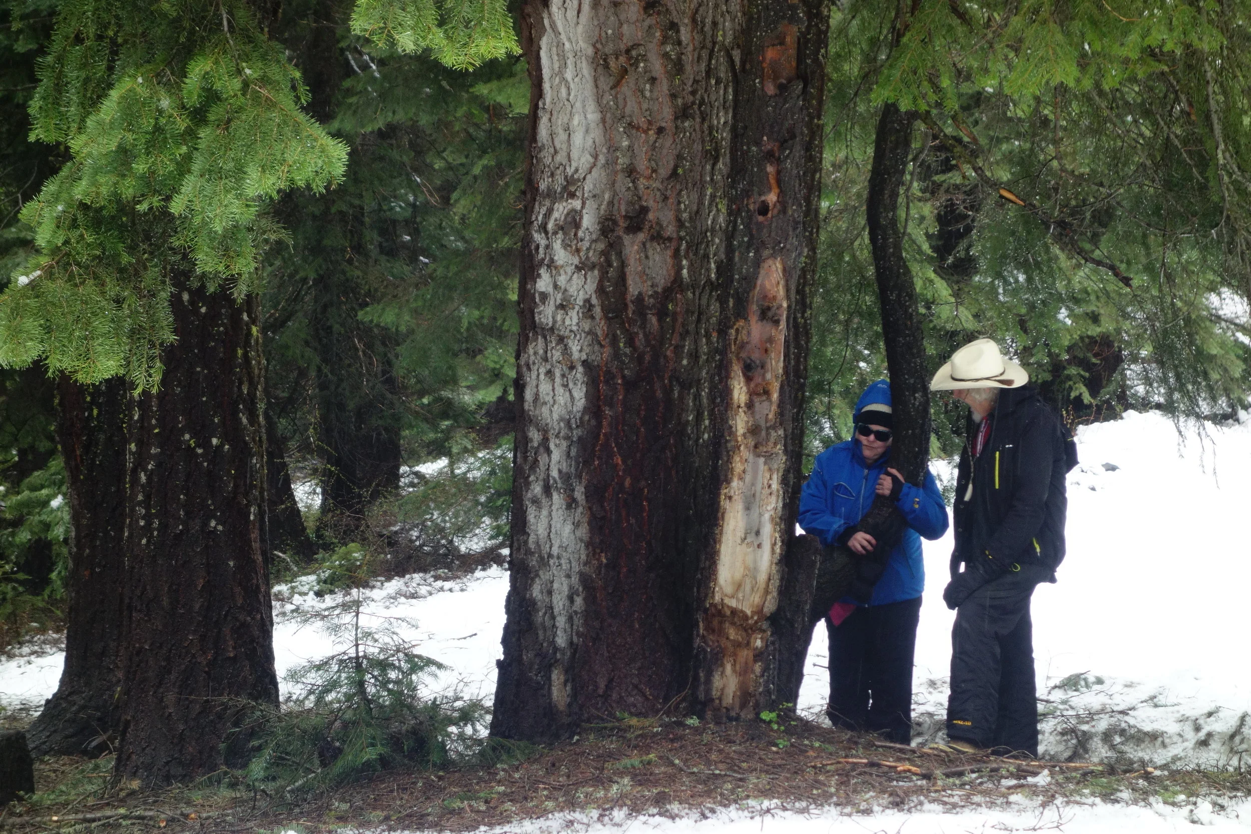 Mt Shasta Spiritual Tours