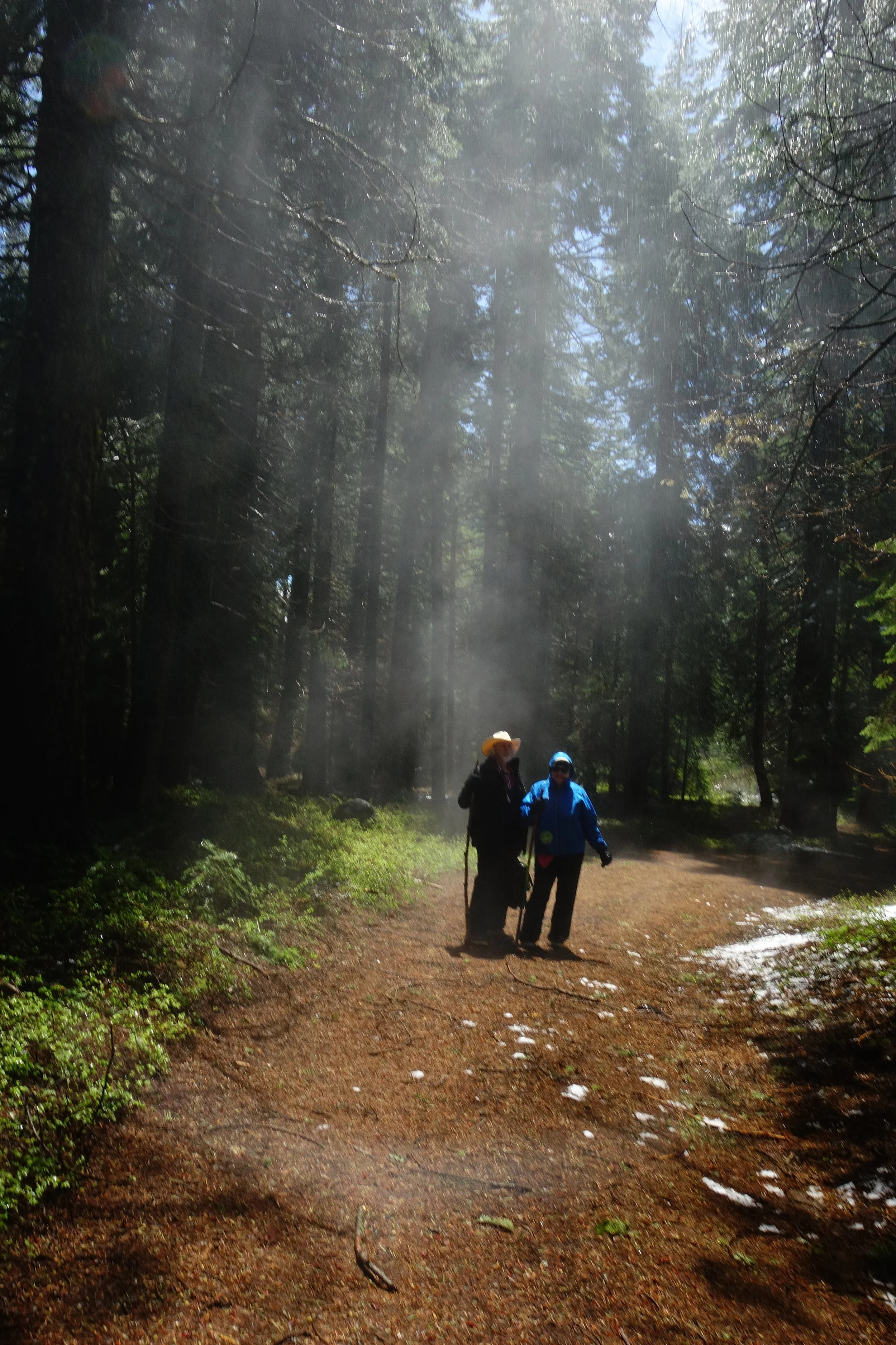 Mt Shasta Spiritual Tours