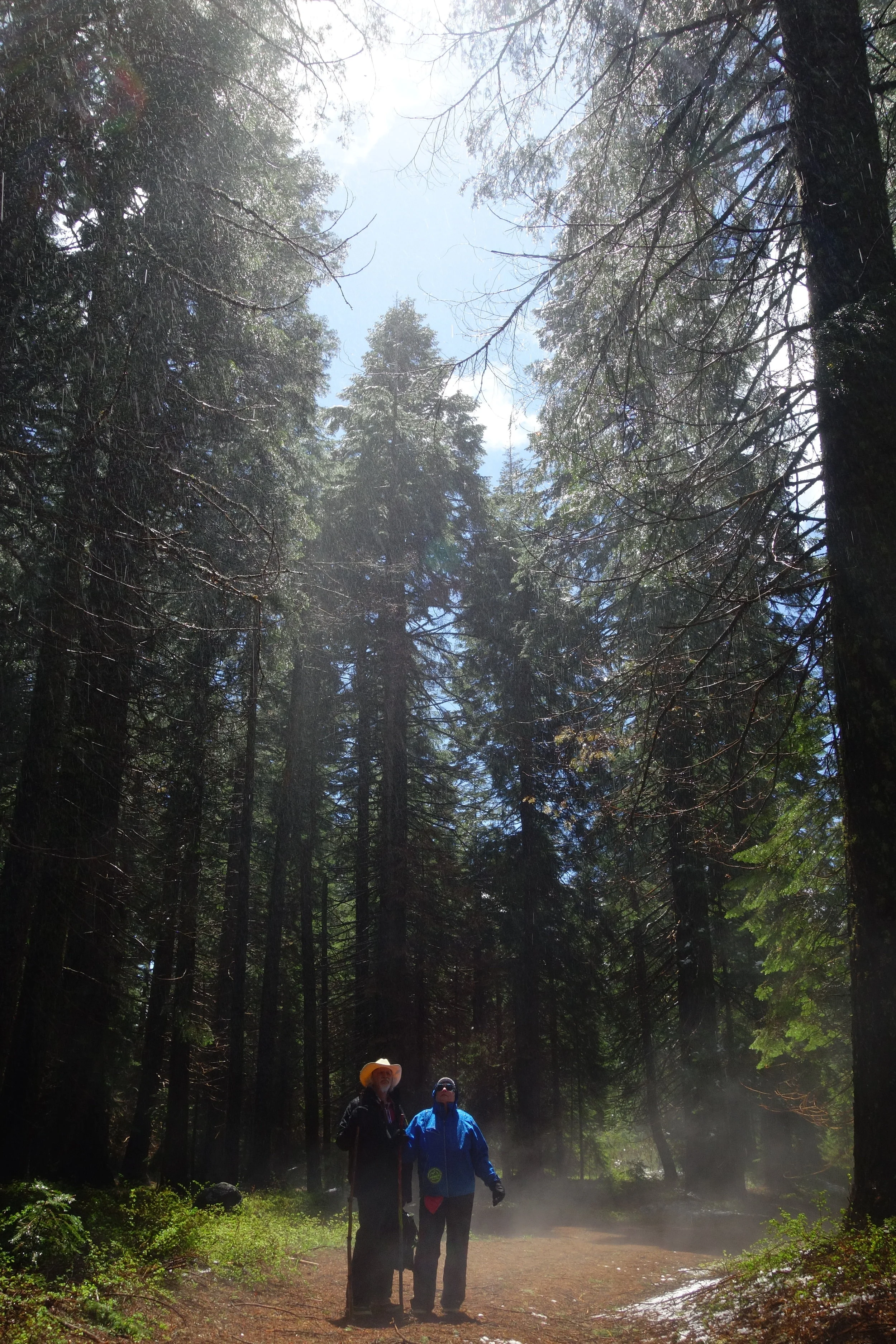 Mt Shasta Spiritual Tours