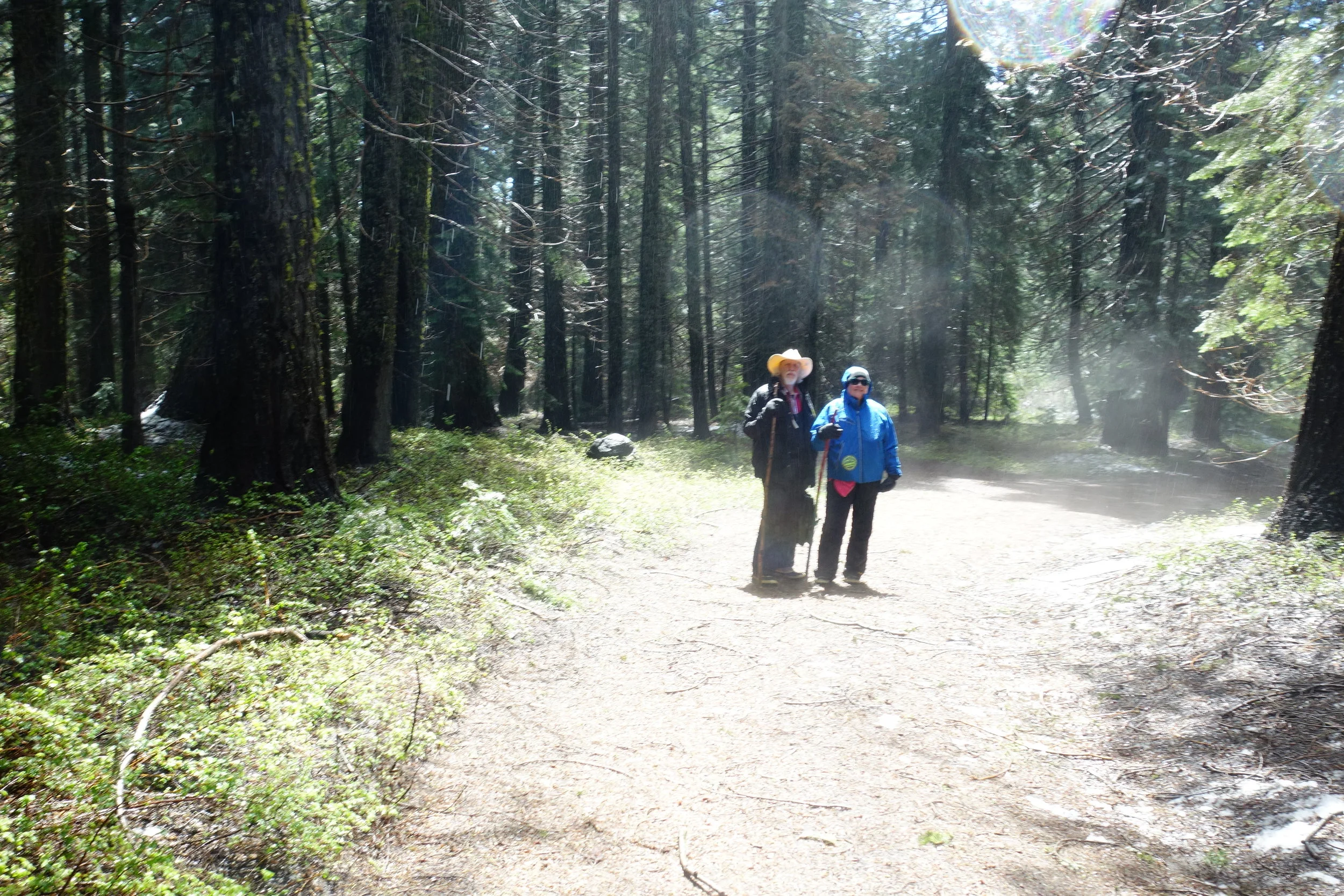 Mt Shasta Spiritual Tours