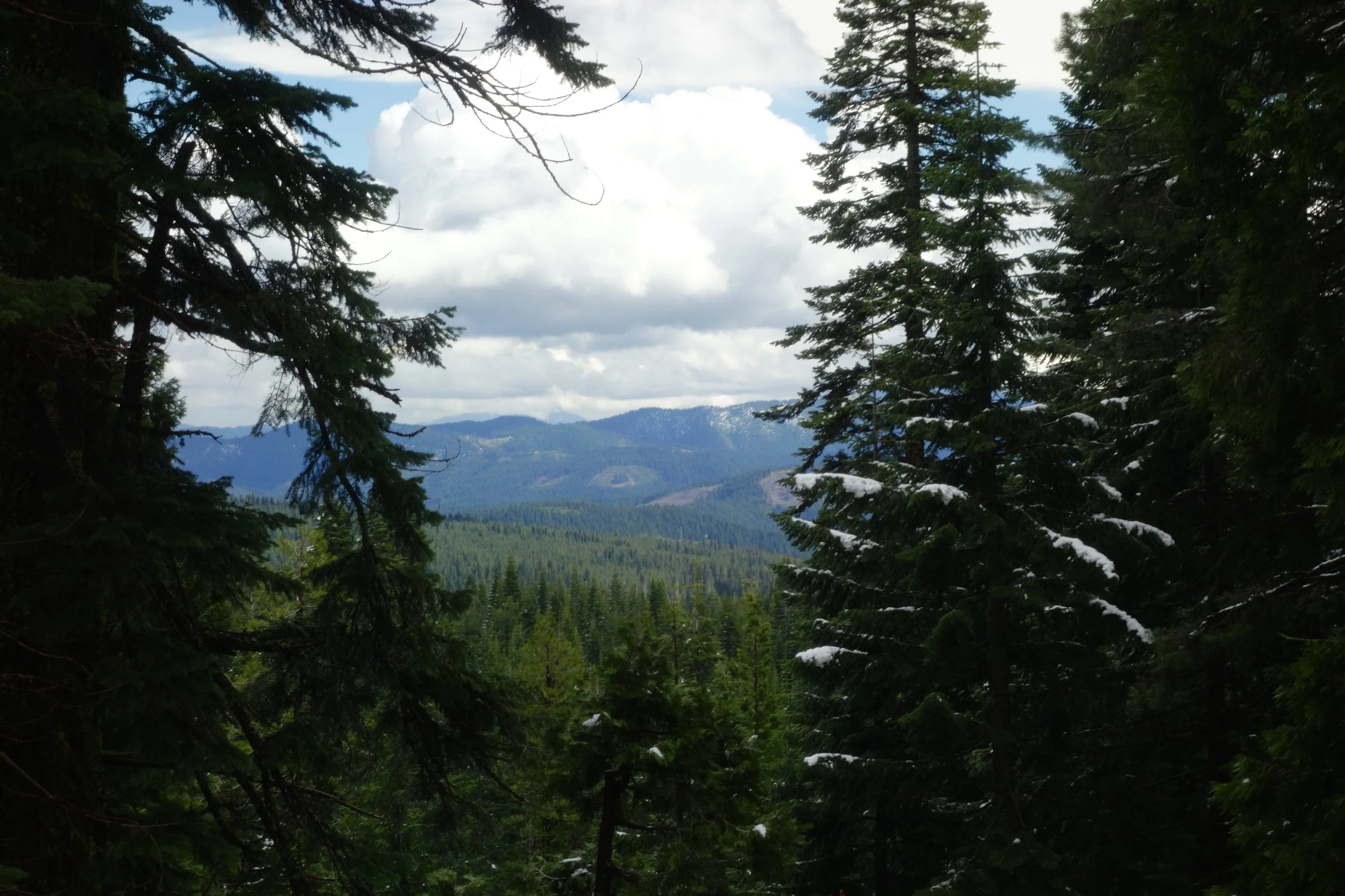 Mt Shasta Spiritual Tours