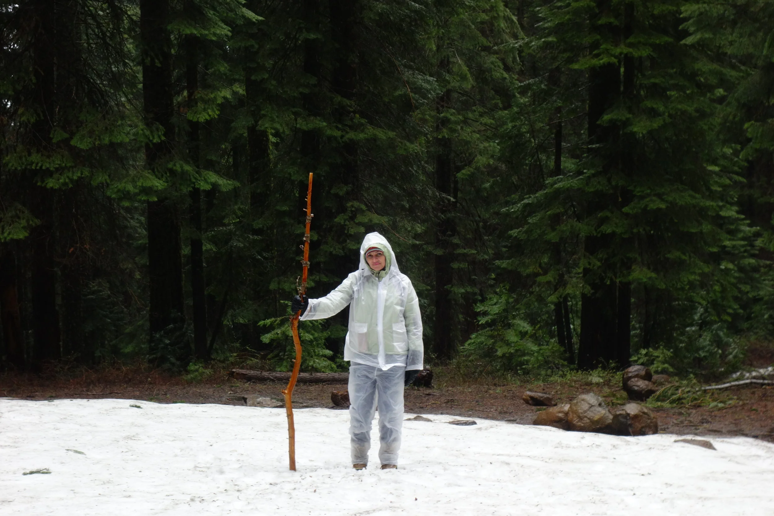 Mt Shasta Spiritual Tours