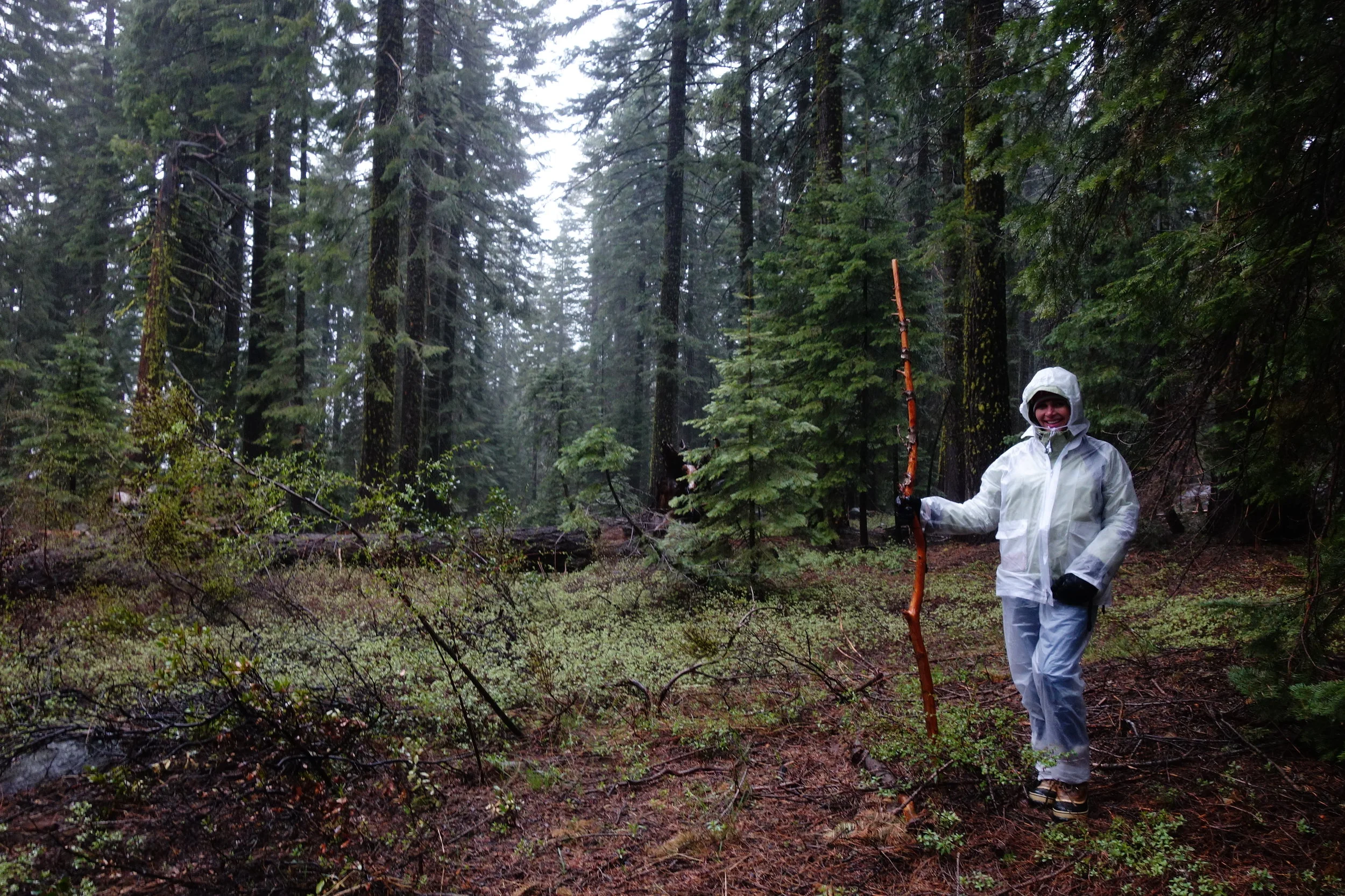 Mt Shasta Spiritual Tours
