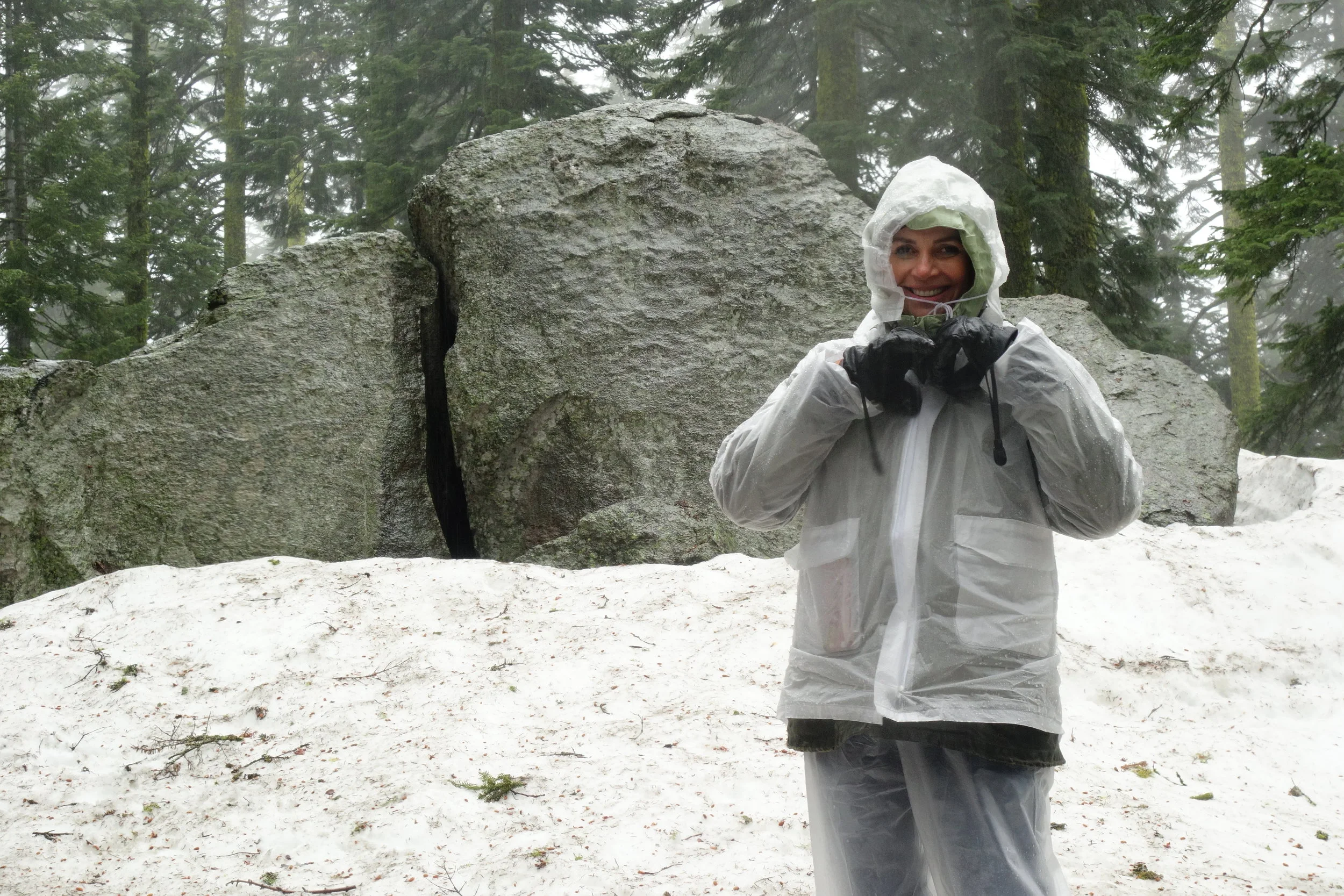 Mt Shasta Spiritual Tours