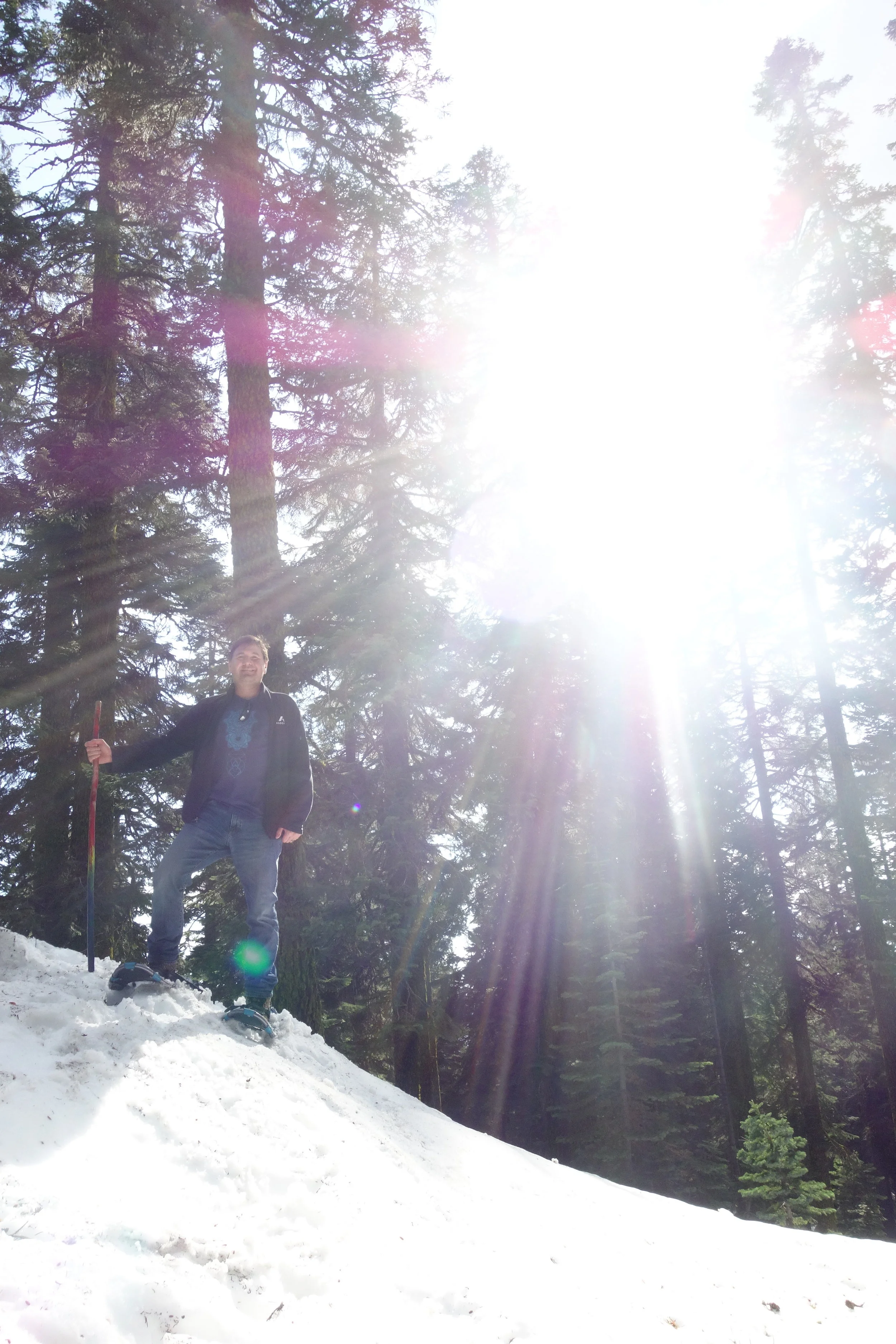 Mt Shasta Spiritual Tours