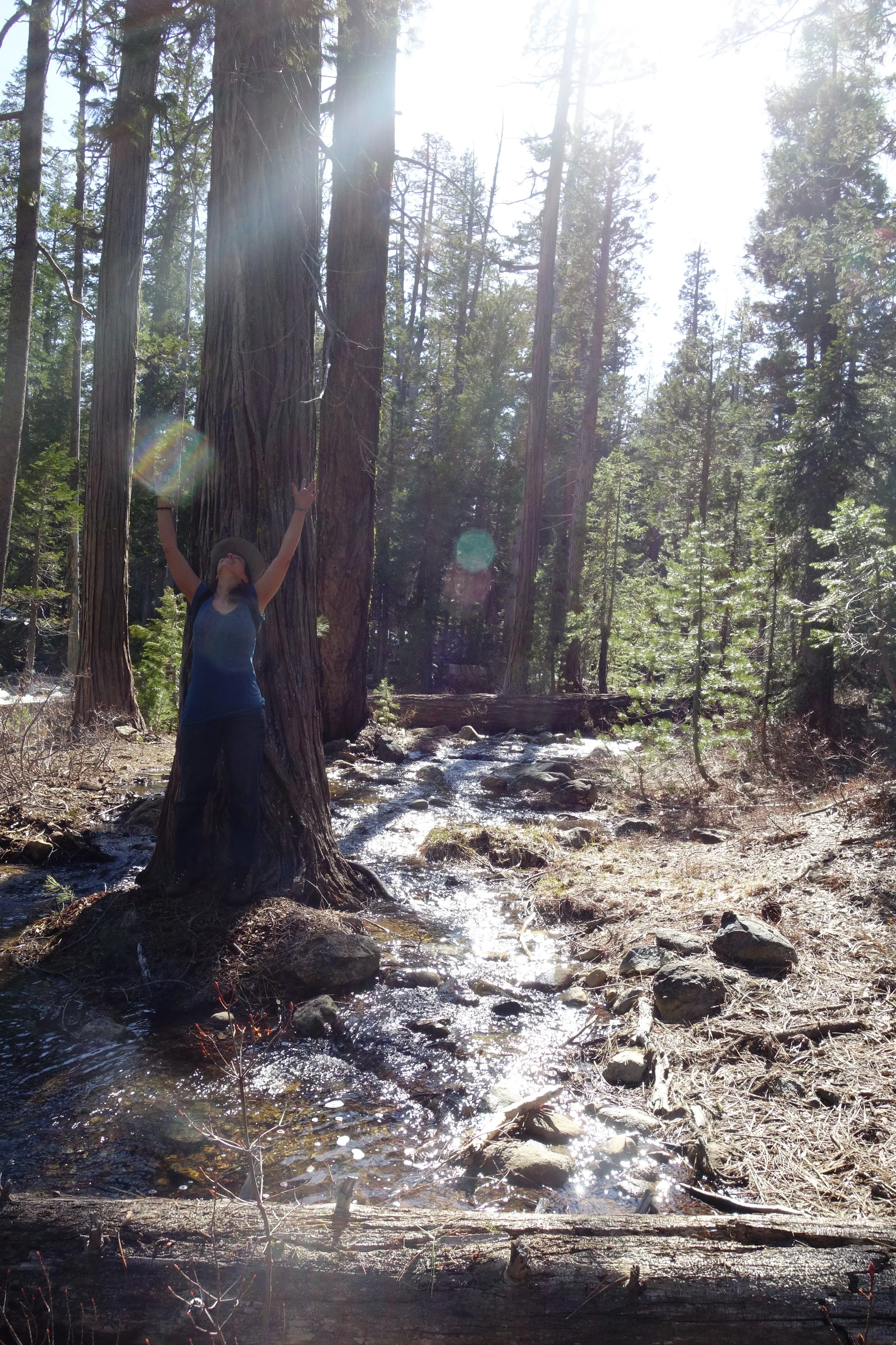 Mt Shasta Spiritual Tours