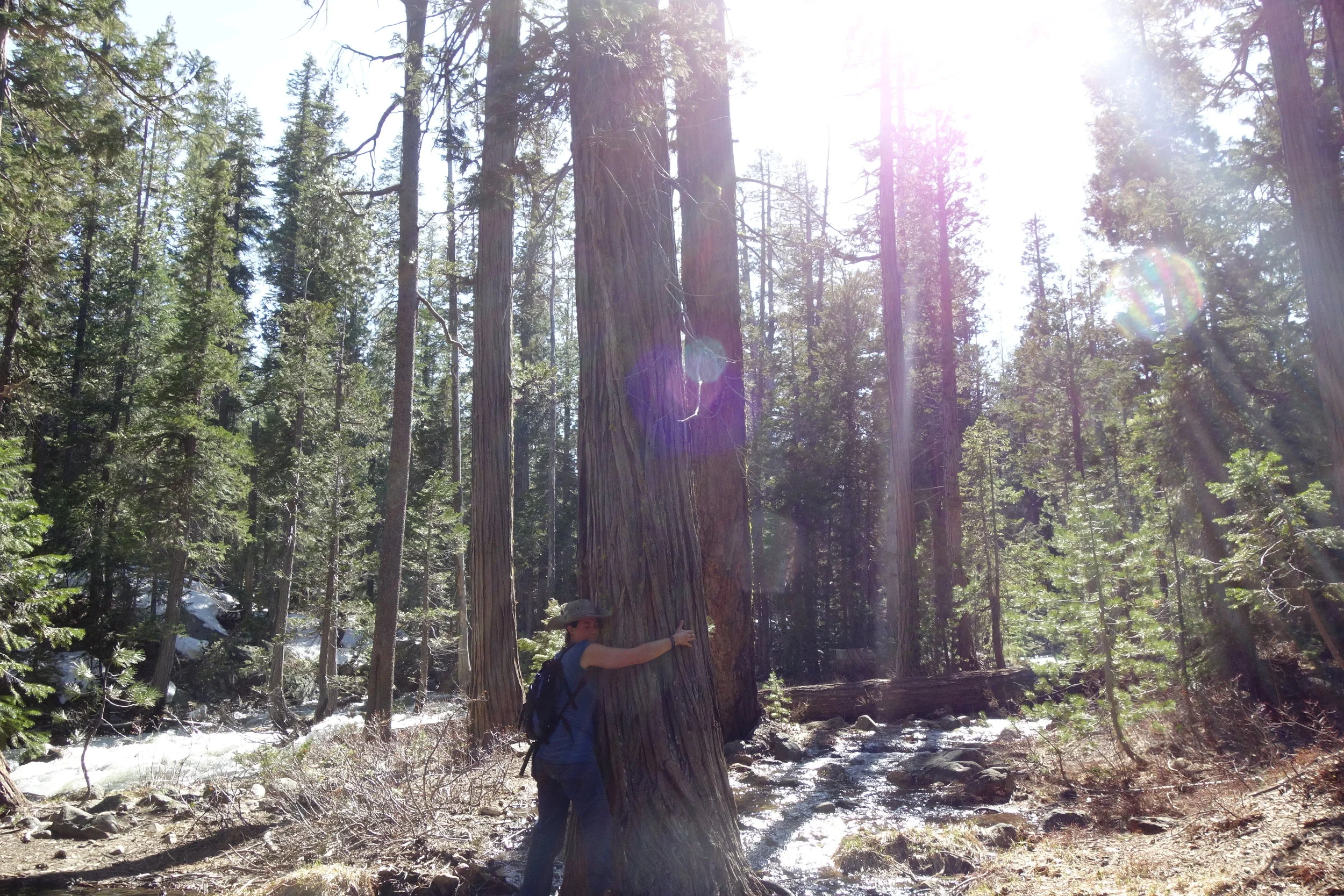 Mt Shasta Spiritual Tours
