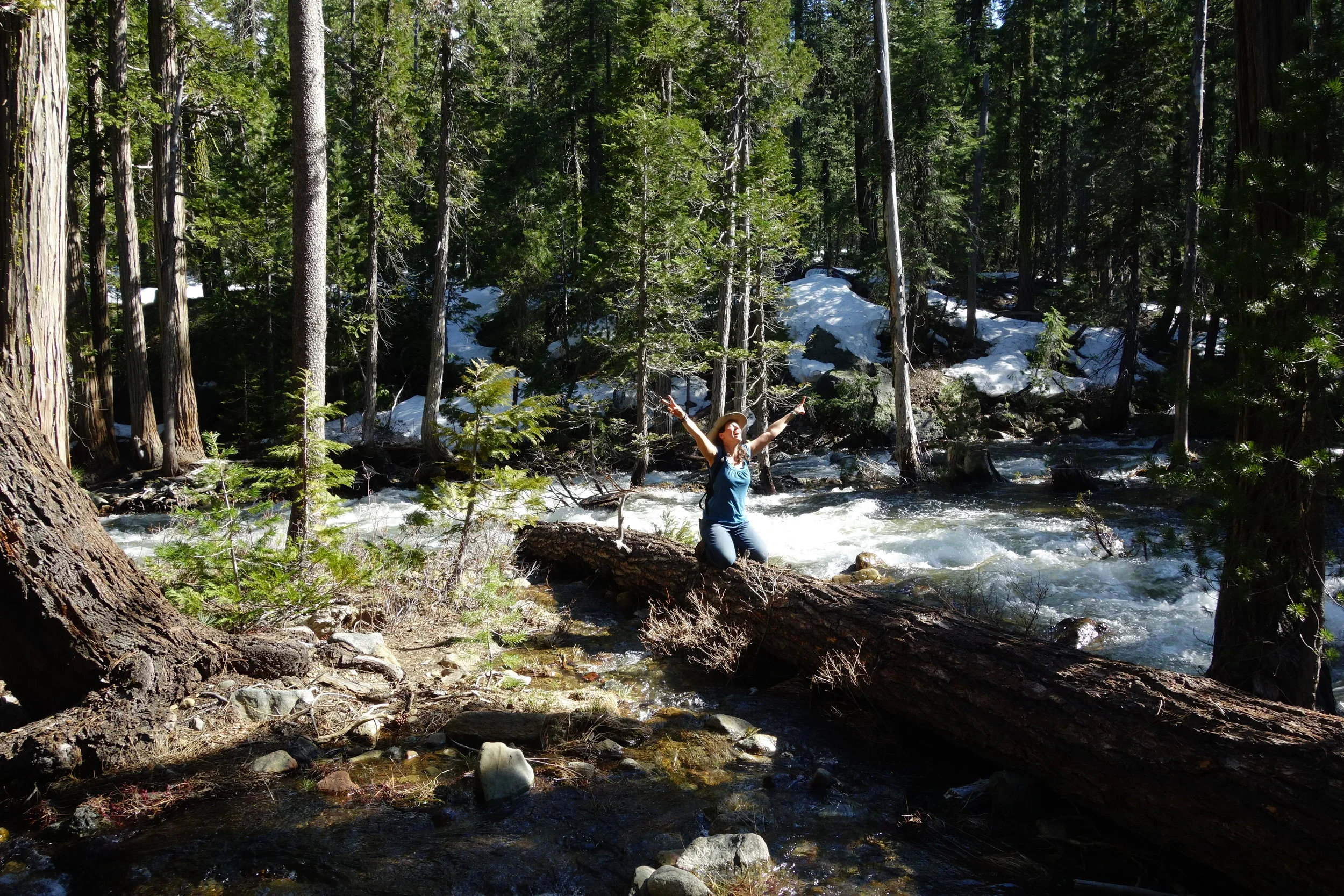 Mt Shasta Spiritual Tours