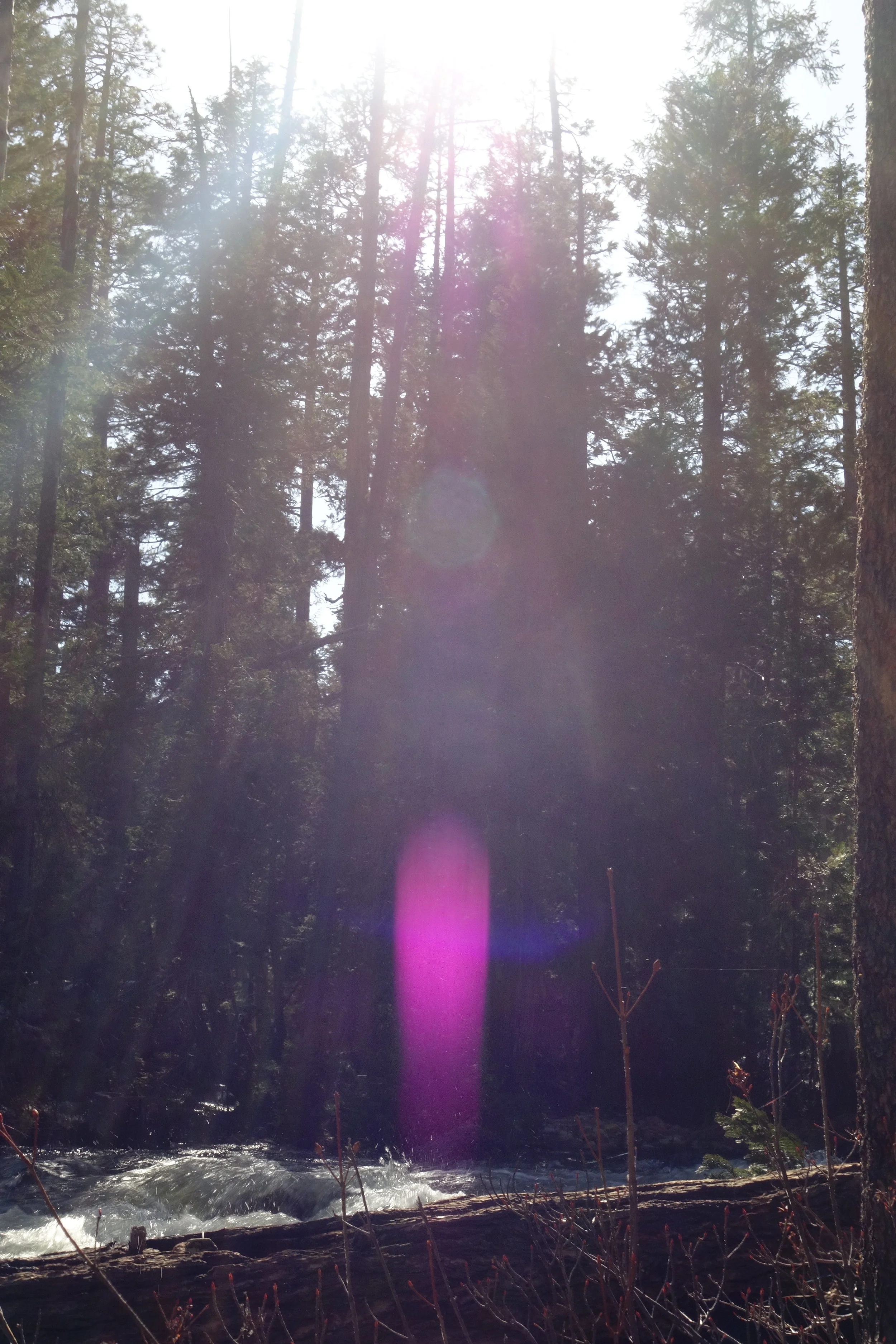 Mt Shasta Spiritual Tours