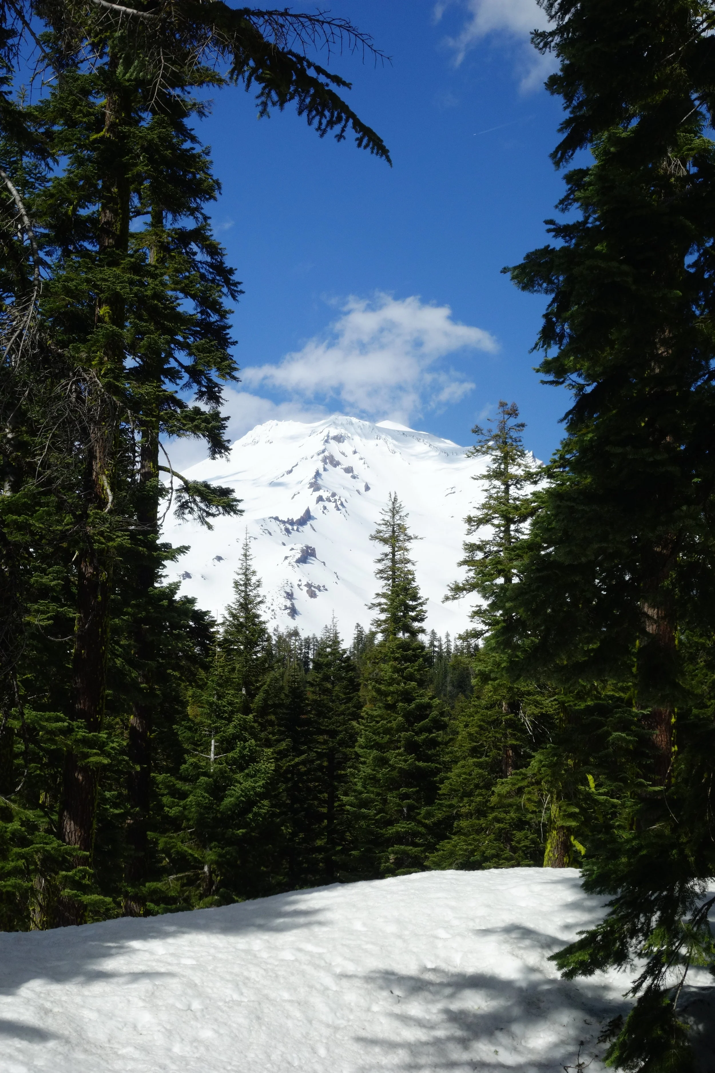Mt Shasta Spiritual Tours