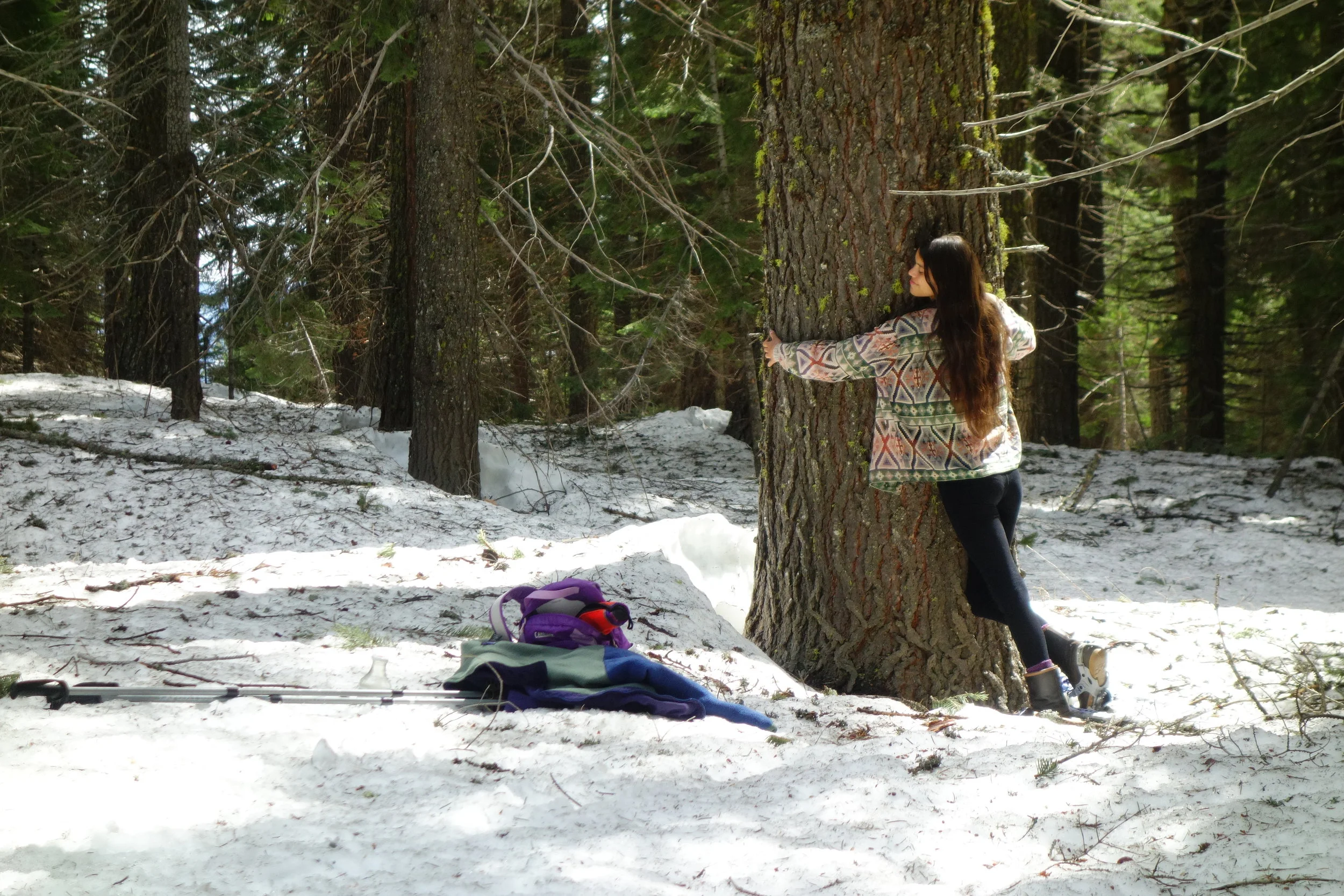 Mt Shasta Spiritual Tours