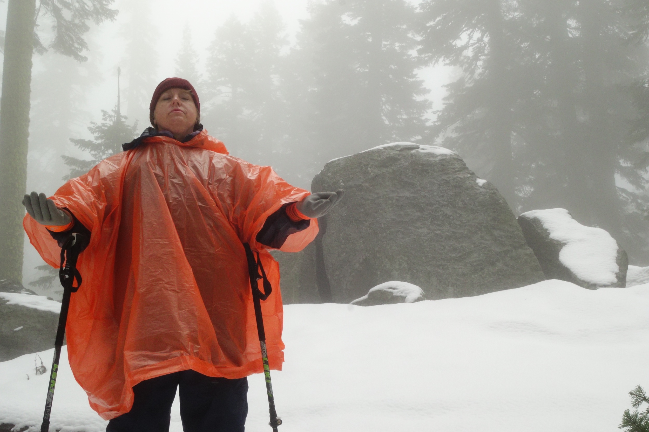 Mt Shasta Spiritual Tours
