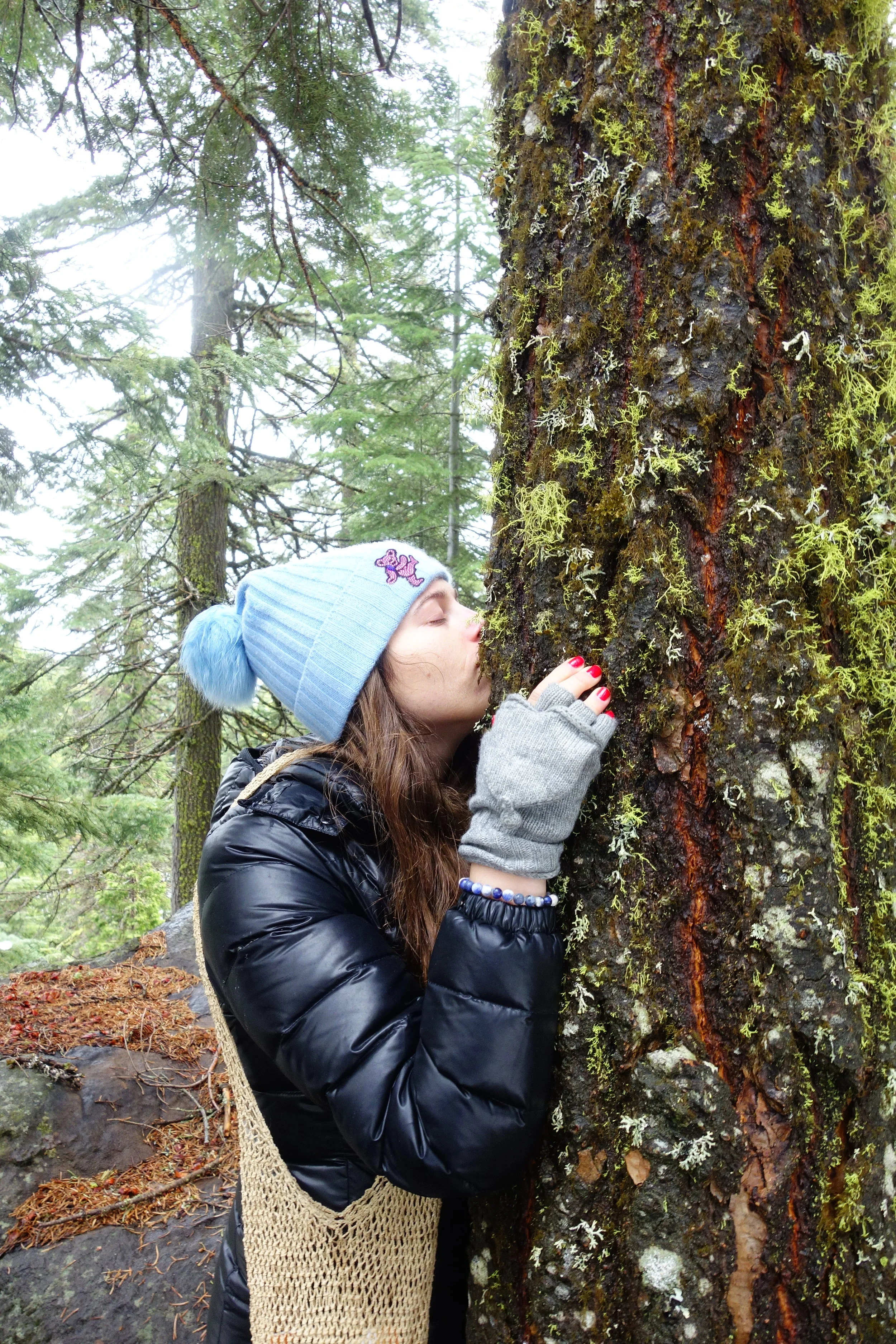 Mt Shasta Spiritual Tours