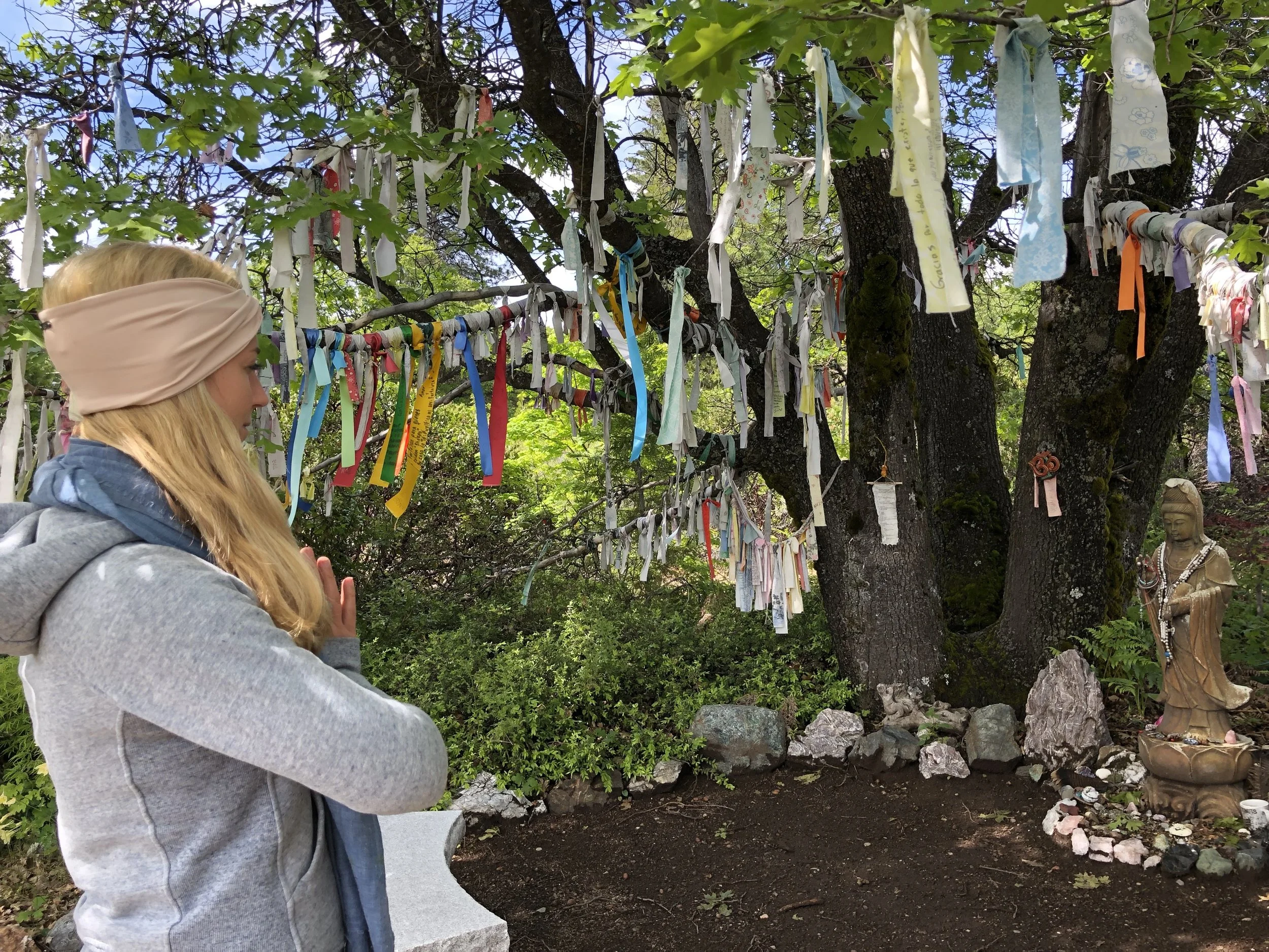 Mt Shasta Spiritual Tours