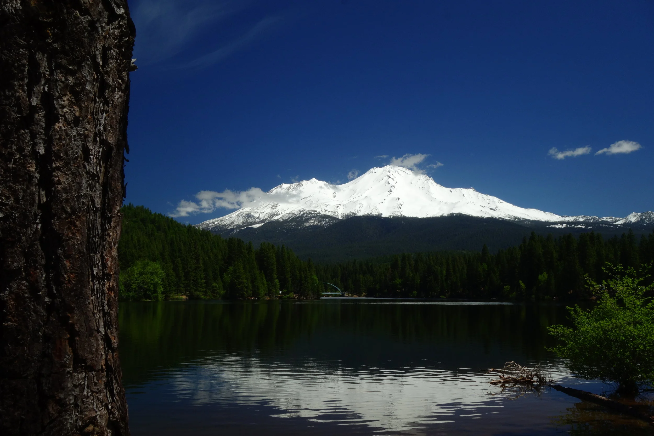 Mt Shasta Spiritual Tours