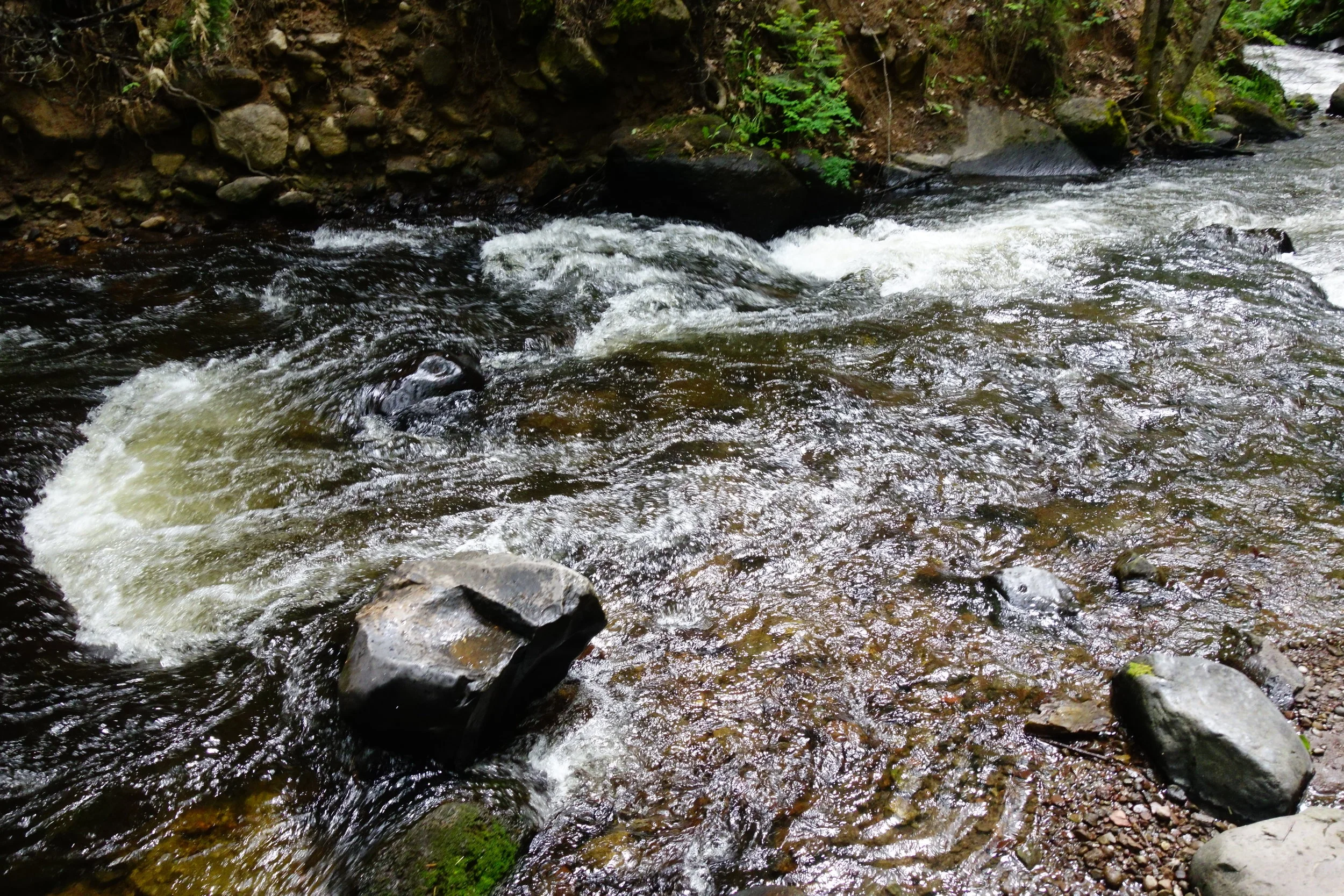 Mt Shasta Spiritual Tours