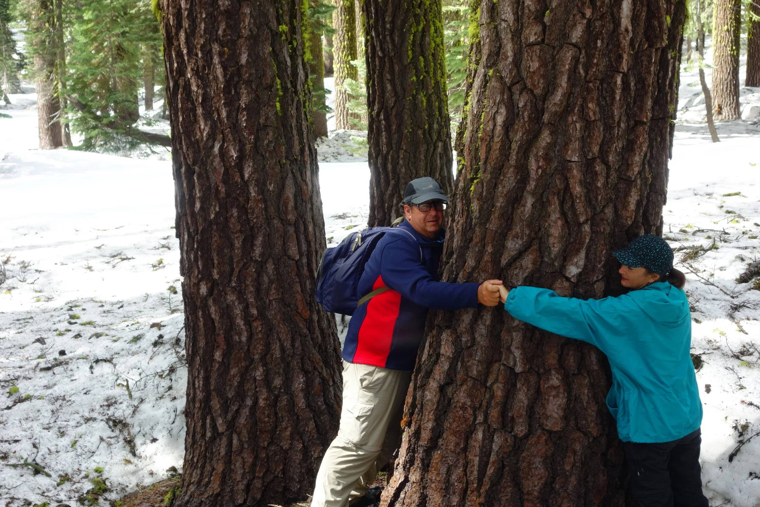 Mt Shasta Spiritual Tours