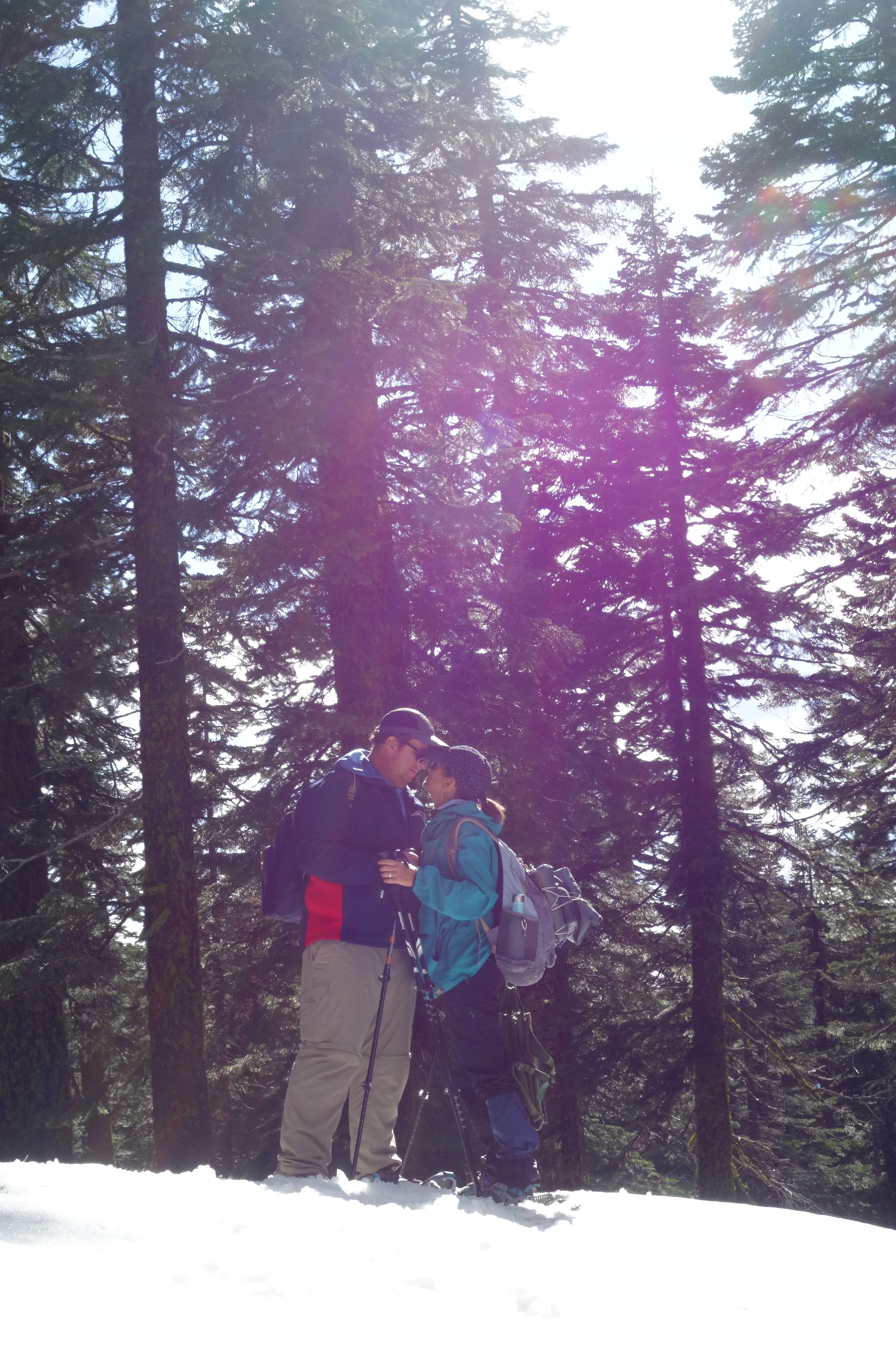 Mt Shasta Spiritual Tours