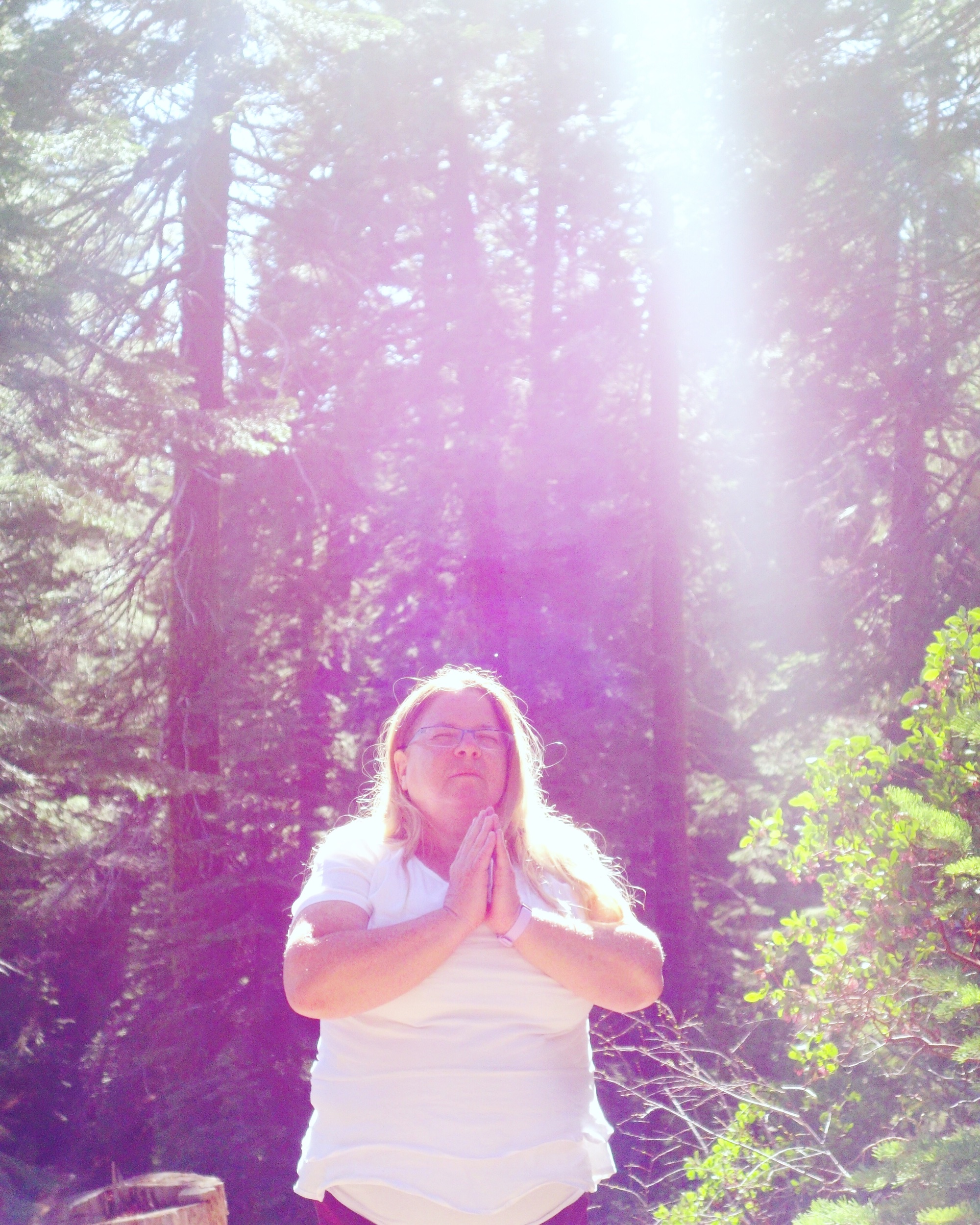 Mt Shasta Spiritual Tours