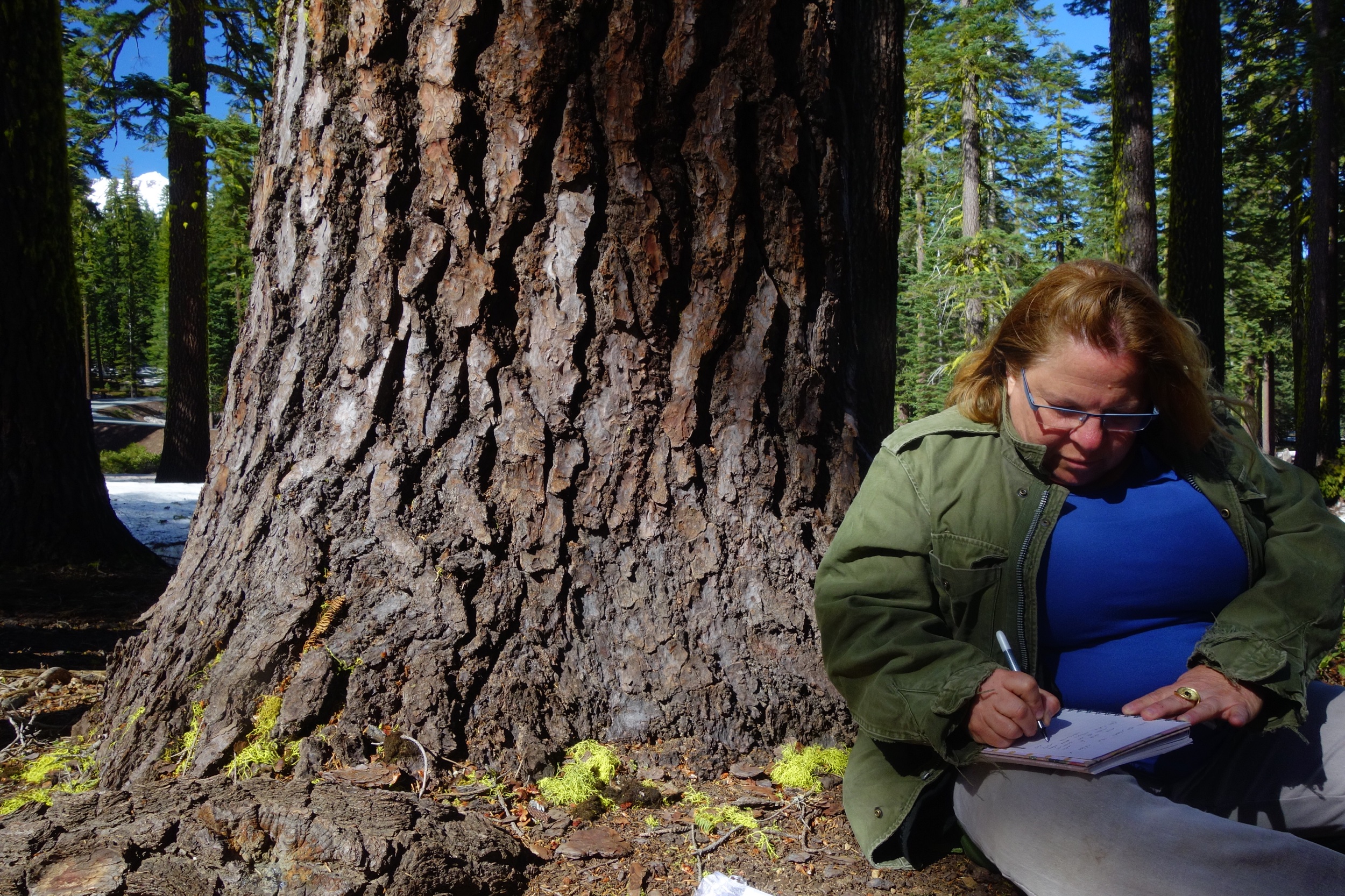 Mt Shasta Spiritual Tours