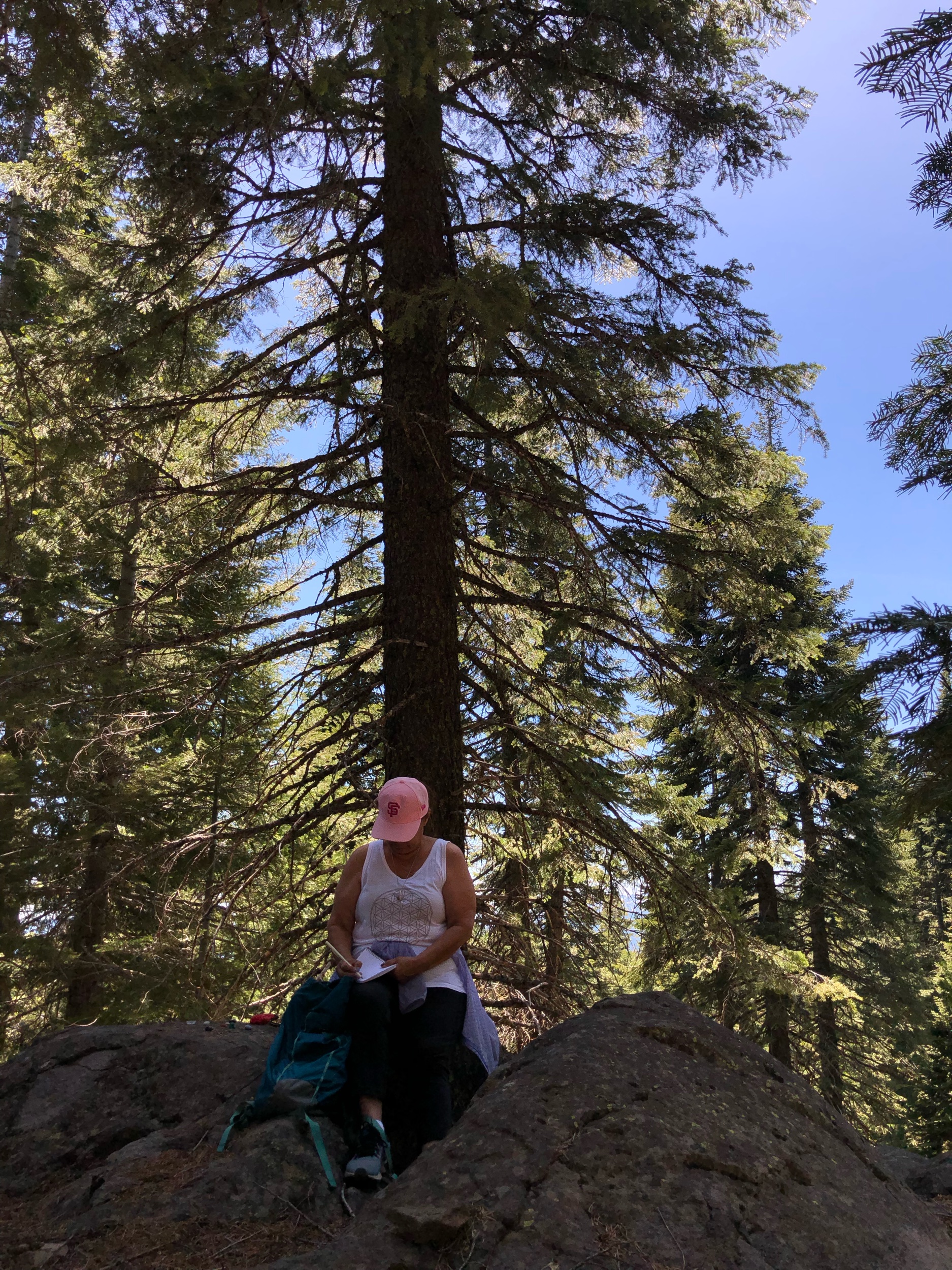 Mt Shasta Spiritual Tours